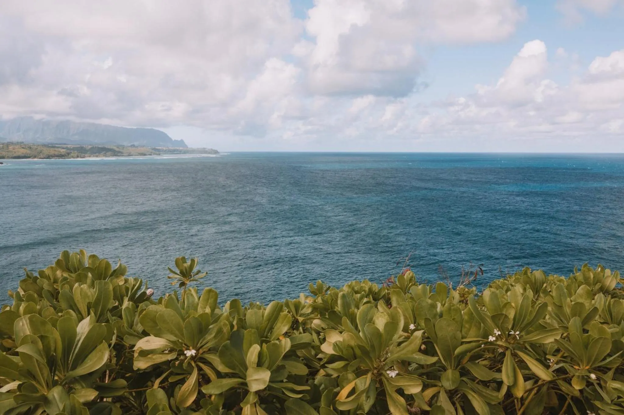 Area and facilities in Plantation Hale Suites