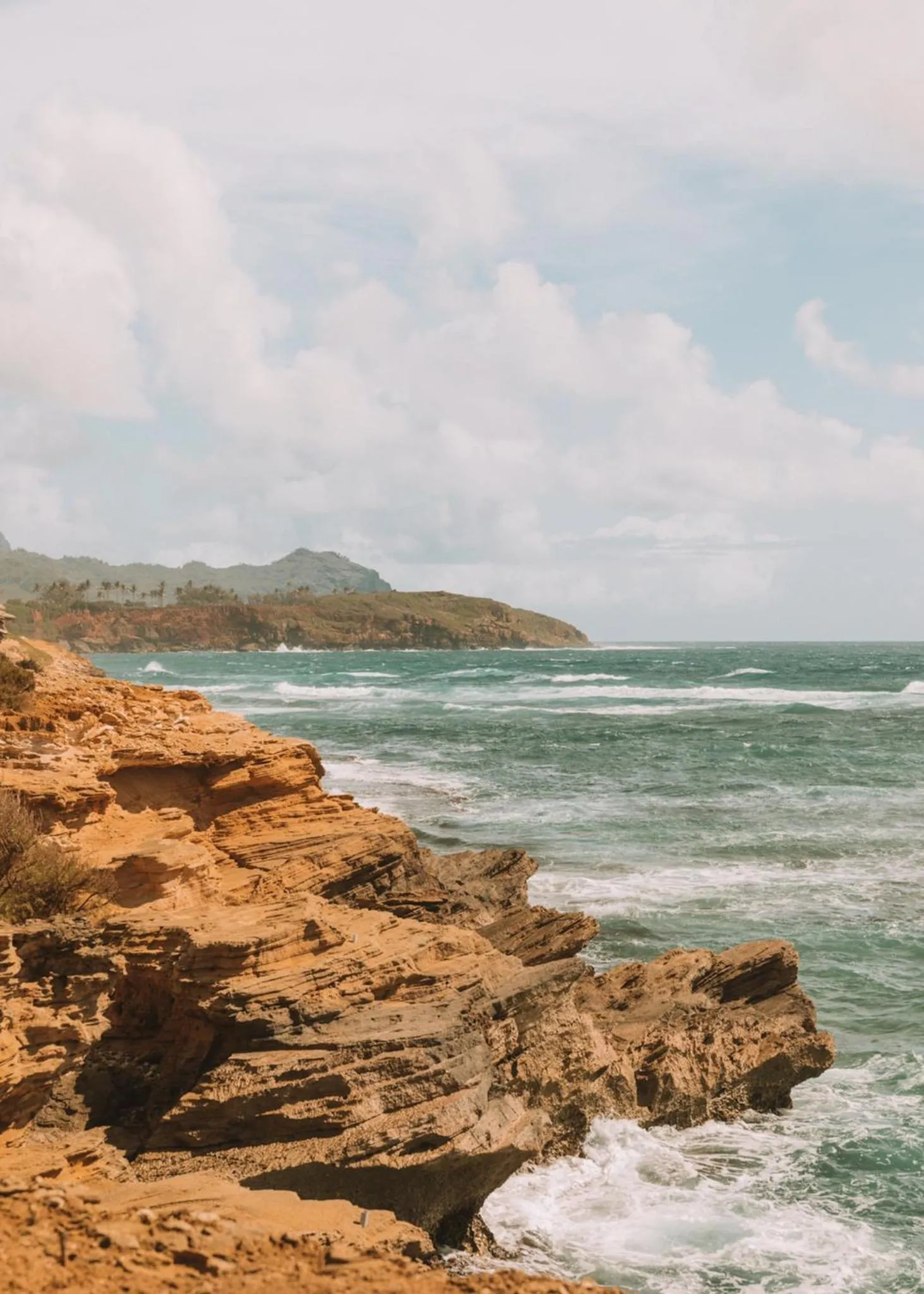 Photo of the whole room in Plantation Hale Suites