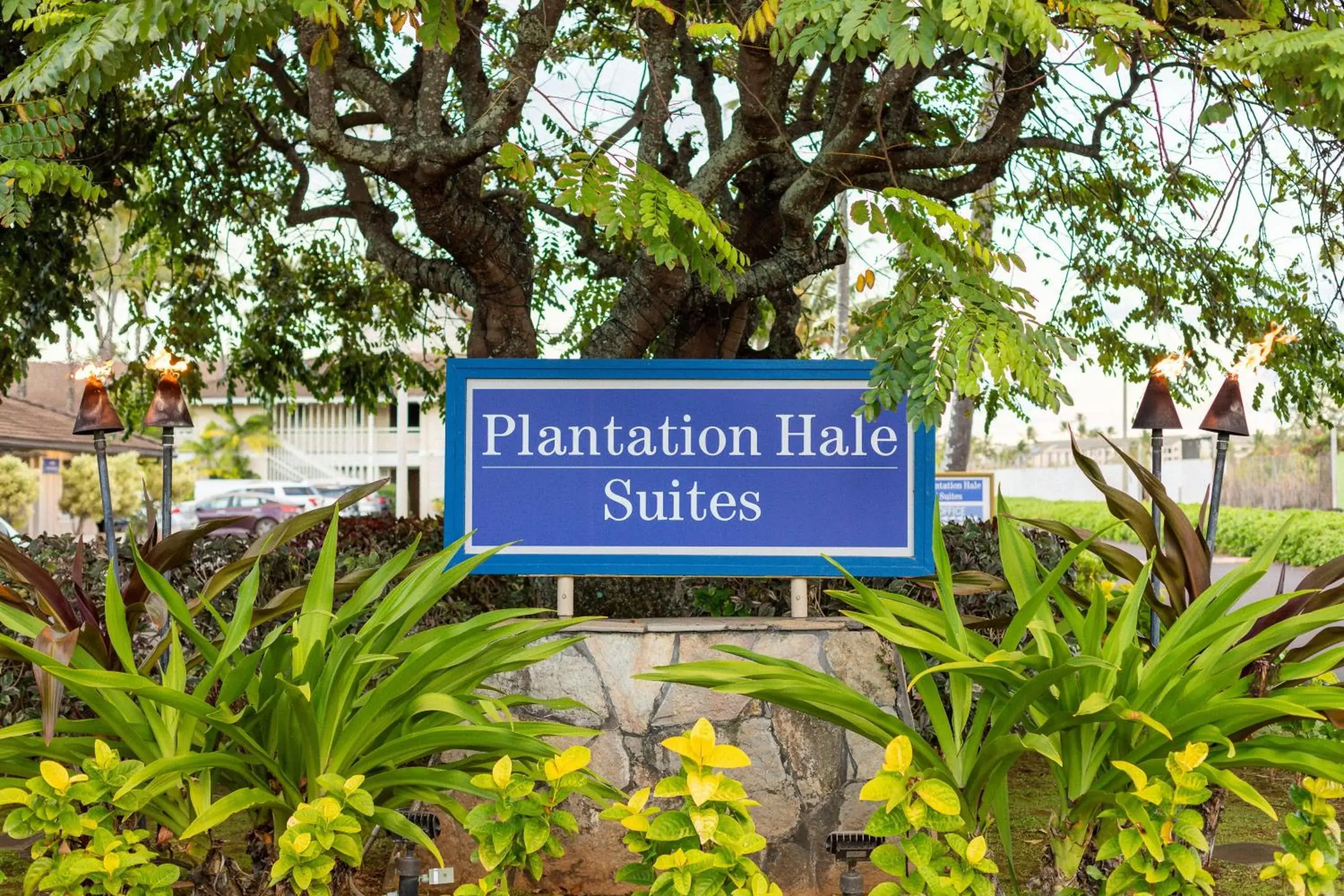 Property building in Plantation Hale Suites Property building in Plantation Hale Suites