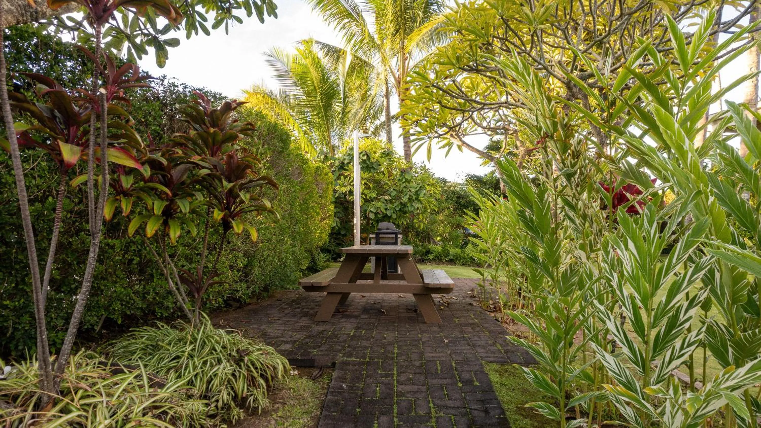 Bird's eye view in Plantation Hale Suites