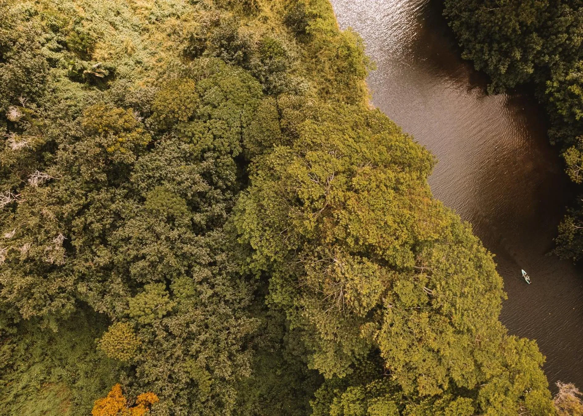 Area and facilities in Plantation Hale Suites