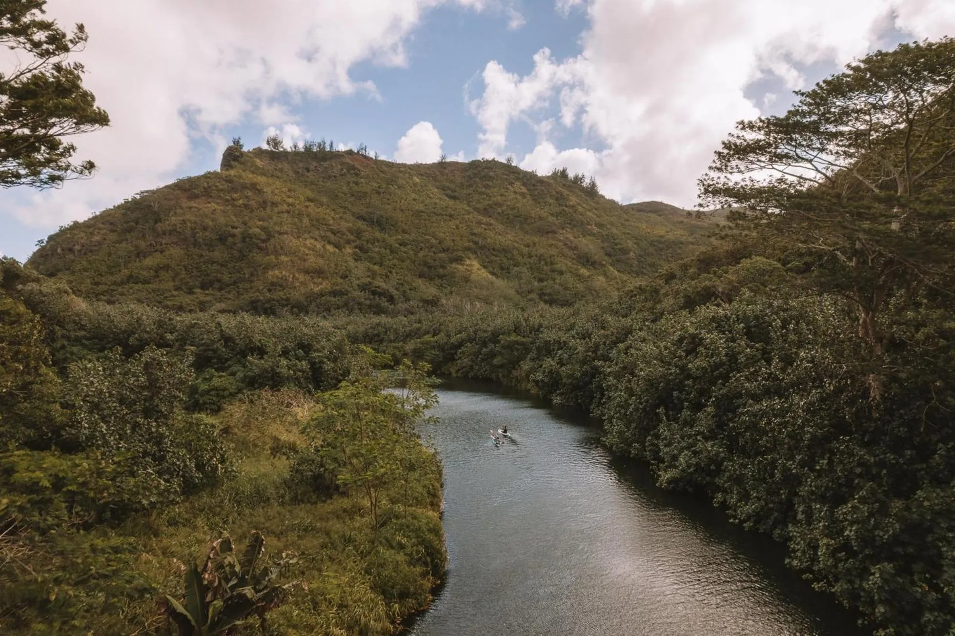 Area and facilities in Plantation Hale Suites