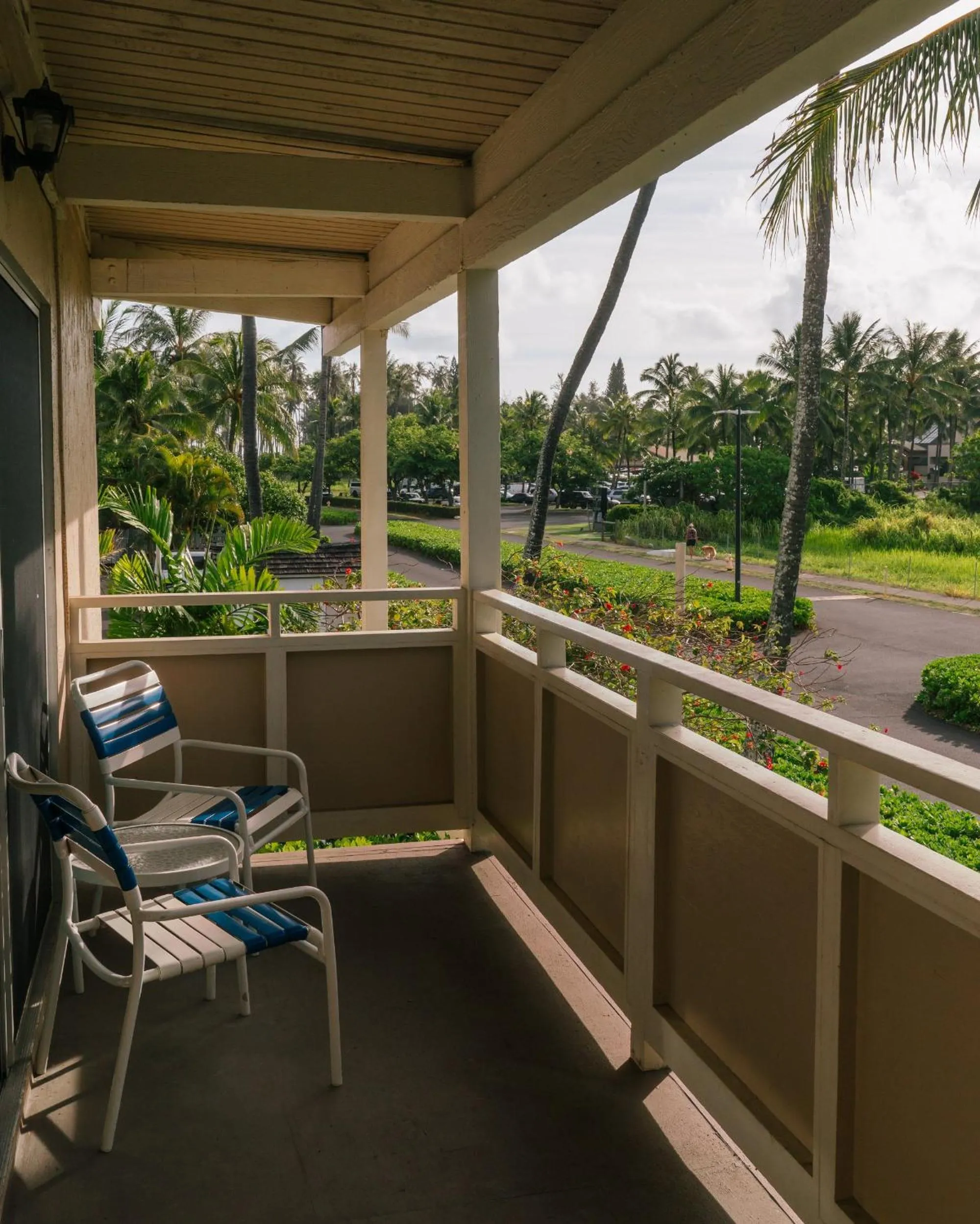 Photo of the whole room in Plantation Hale Suites