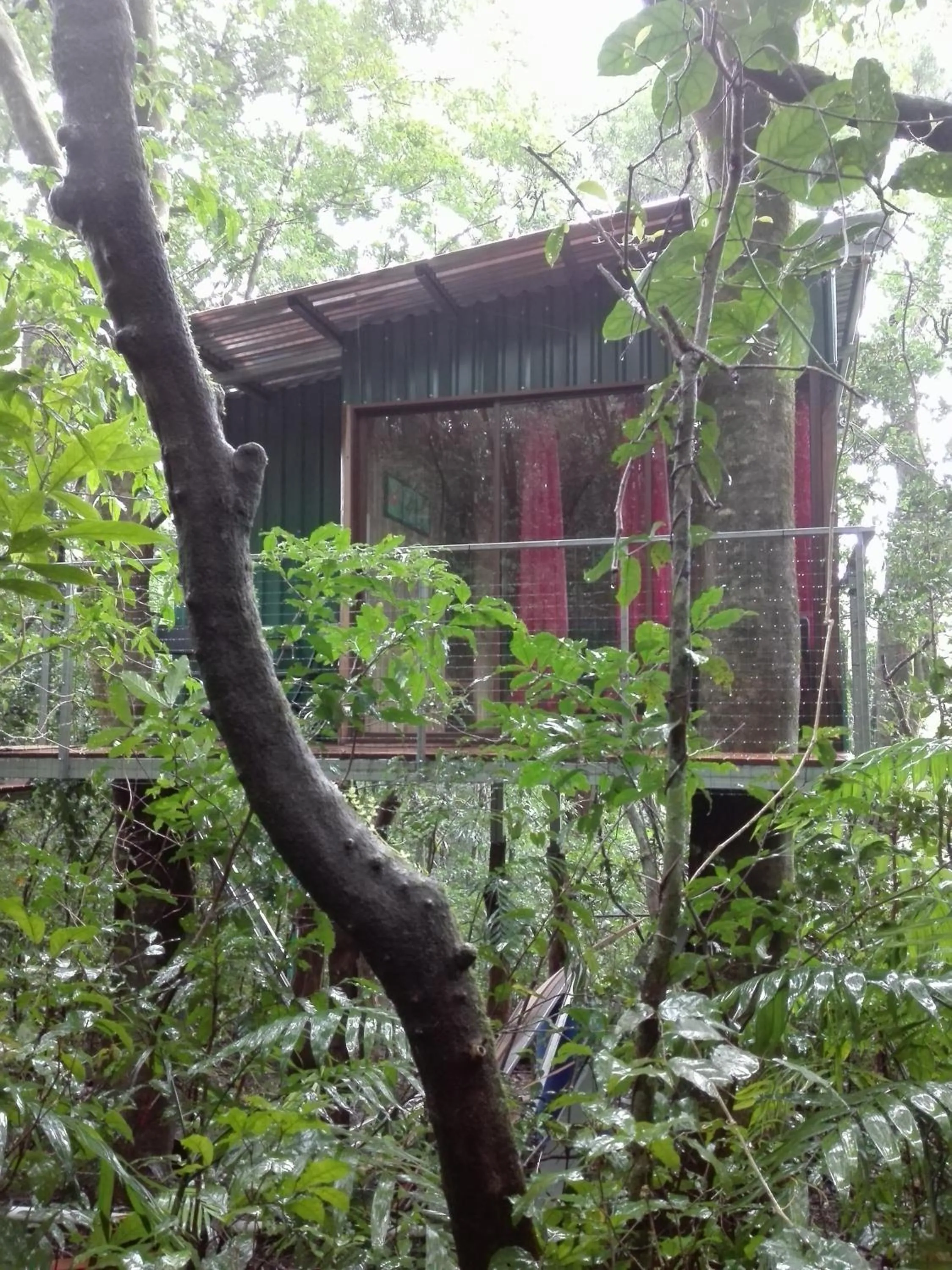The Green Tree Lodge