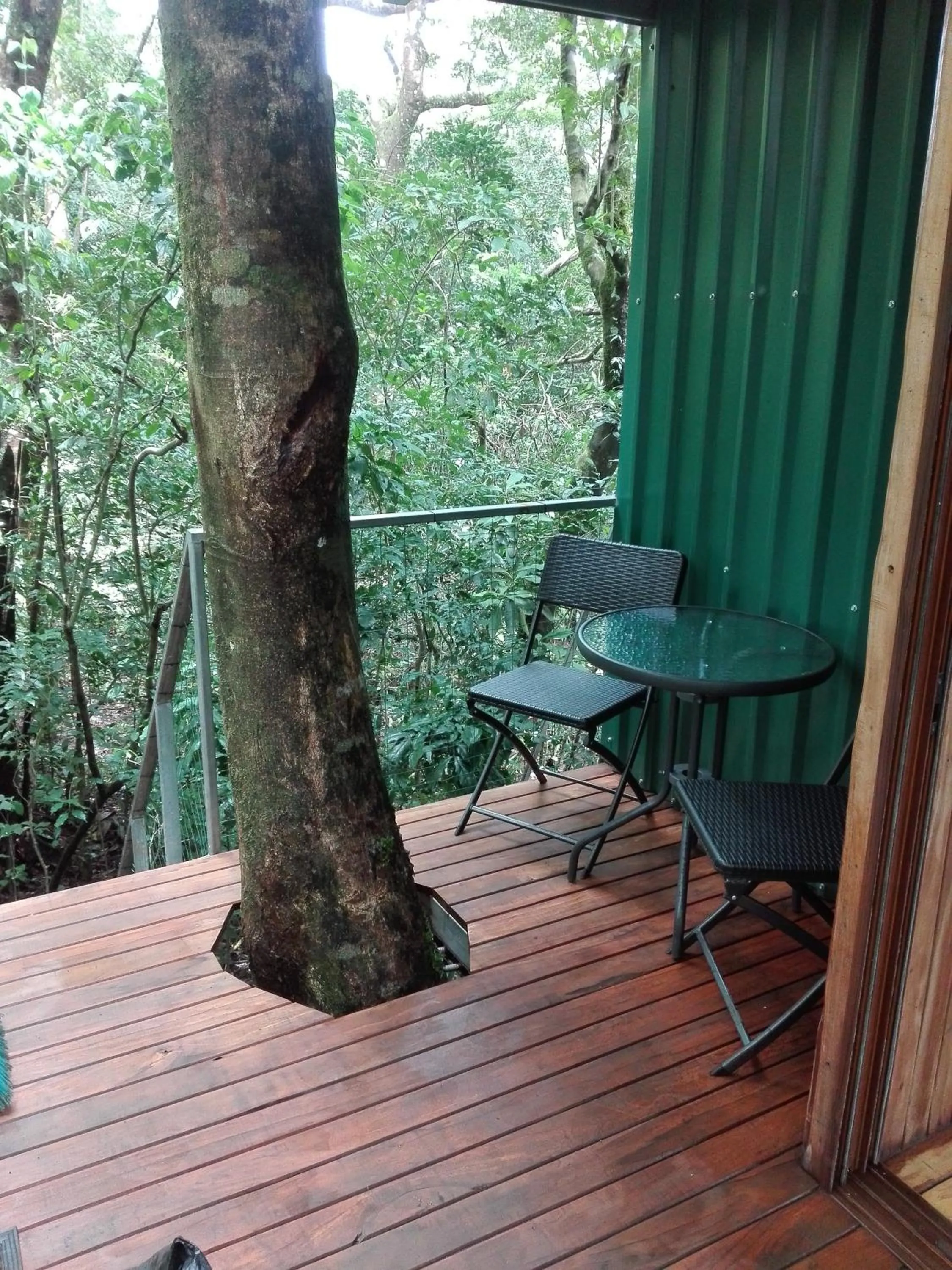 Double Room with Balcony in The Green Tree Lodge
