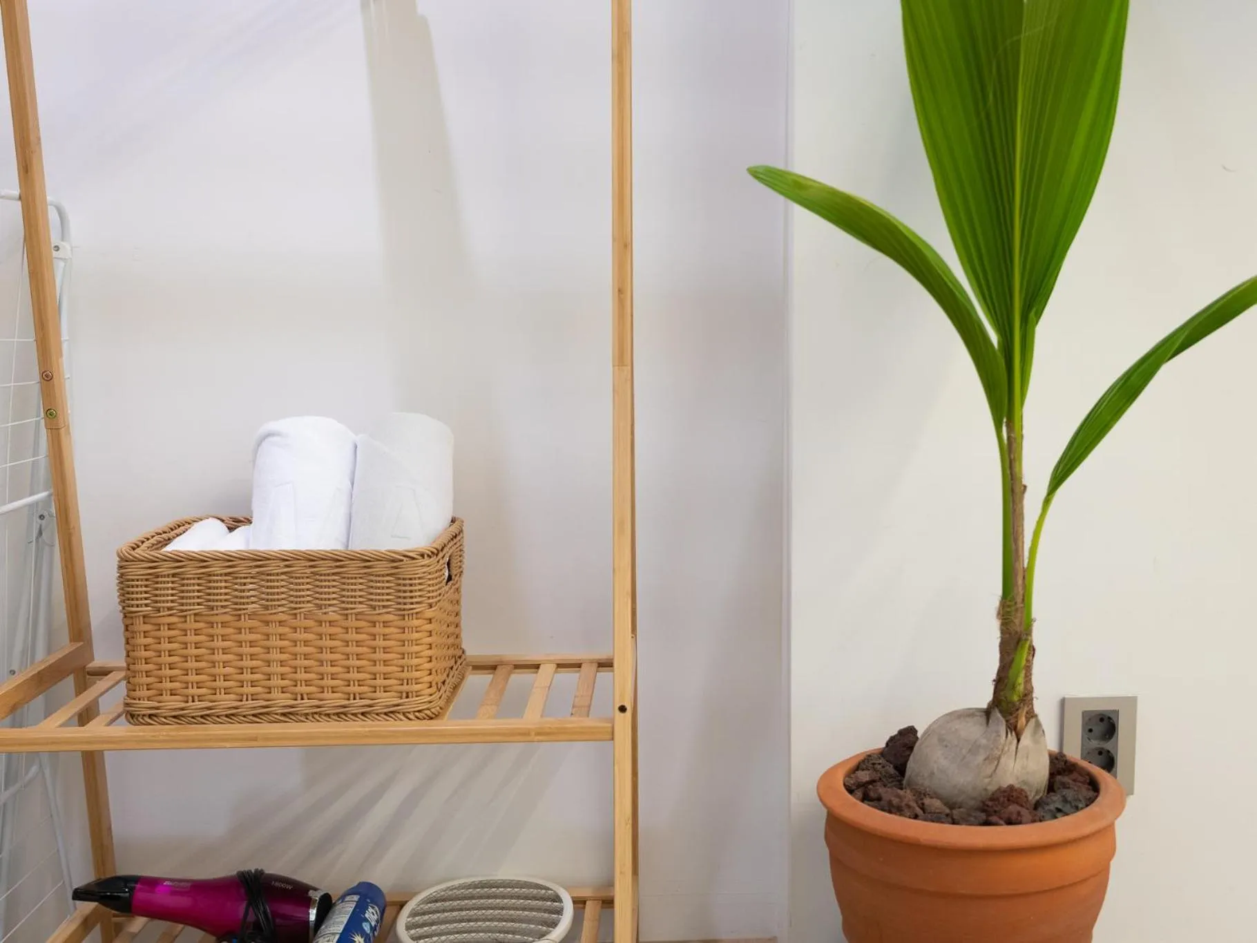 Area and facilities in Boutique Pool Villa NAMIB