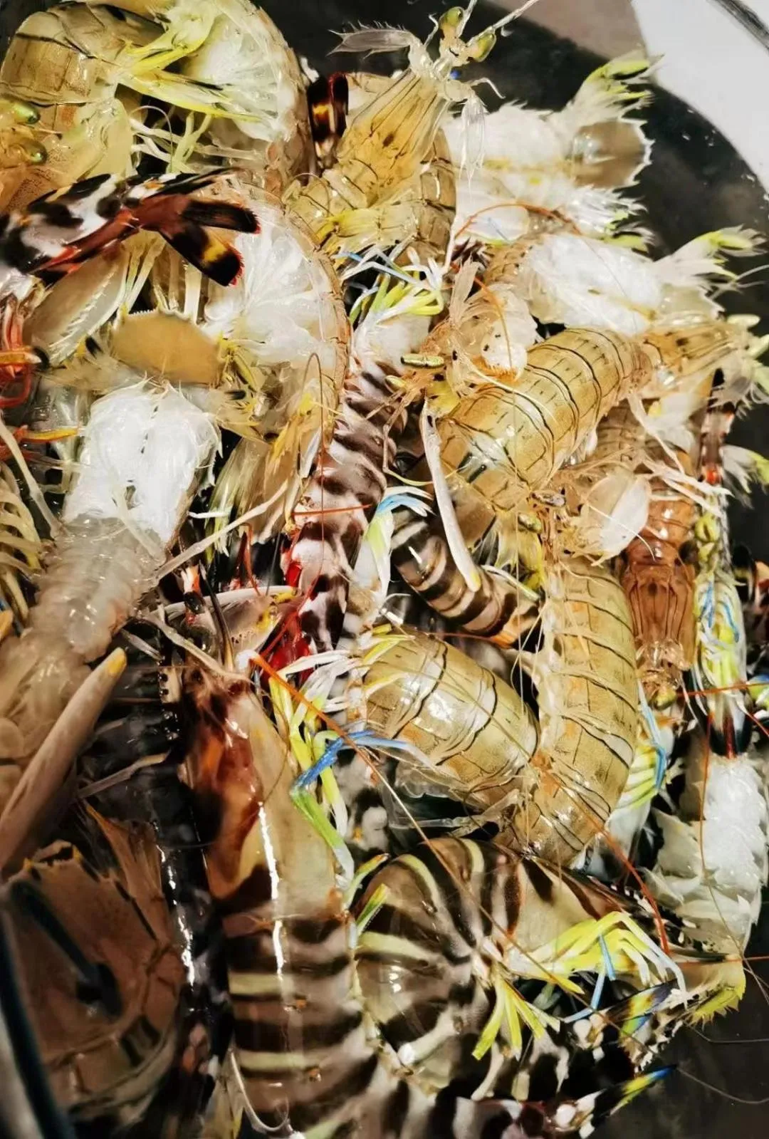 Food in Summer Tree Inn