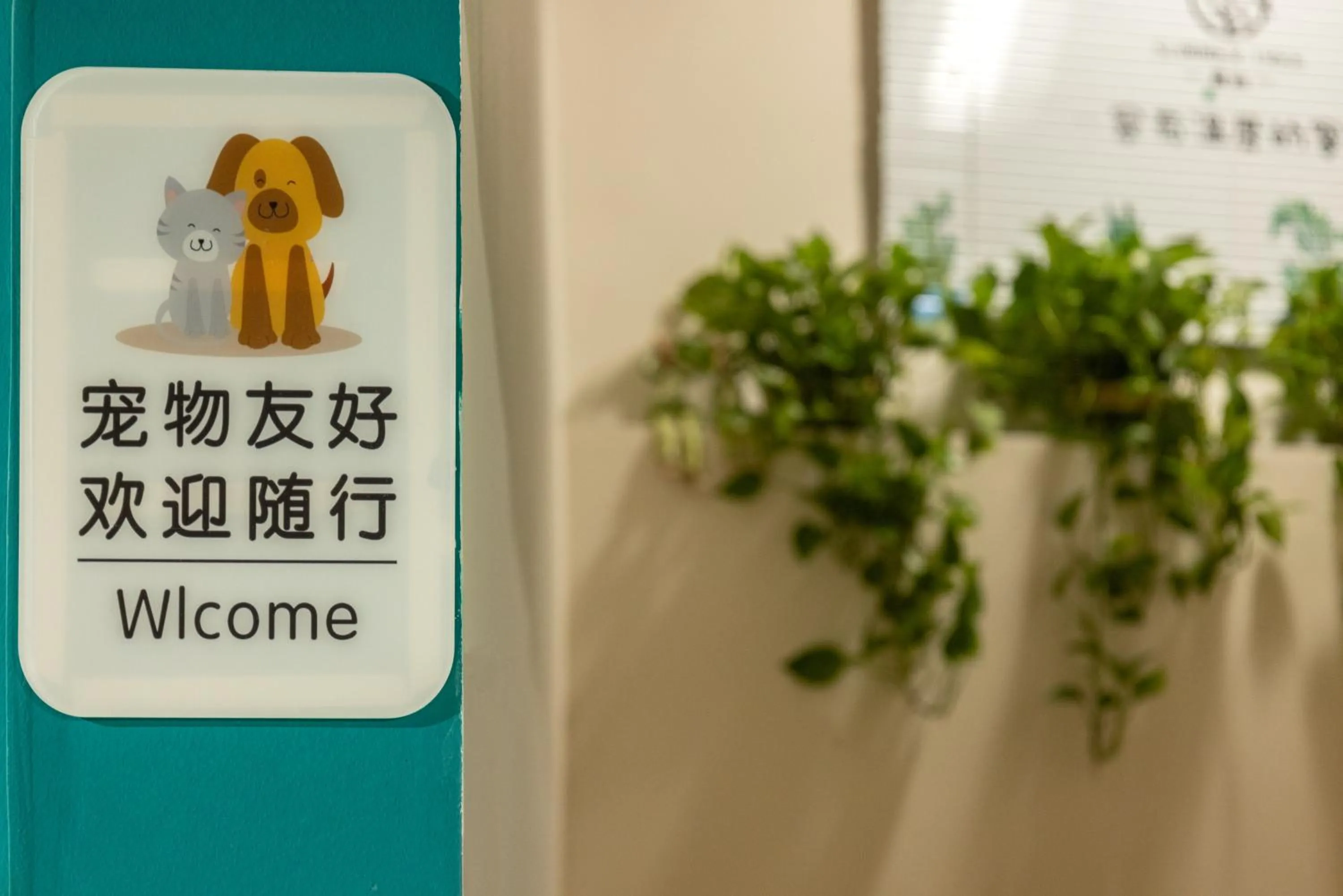 Property logo or sign in Summer Tree Inn