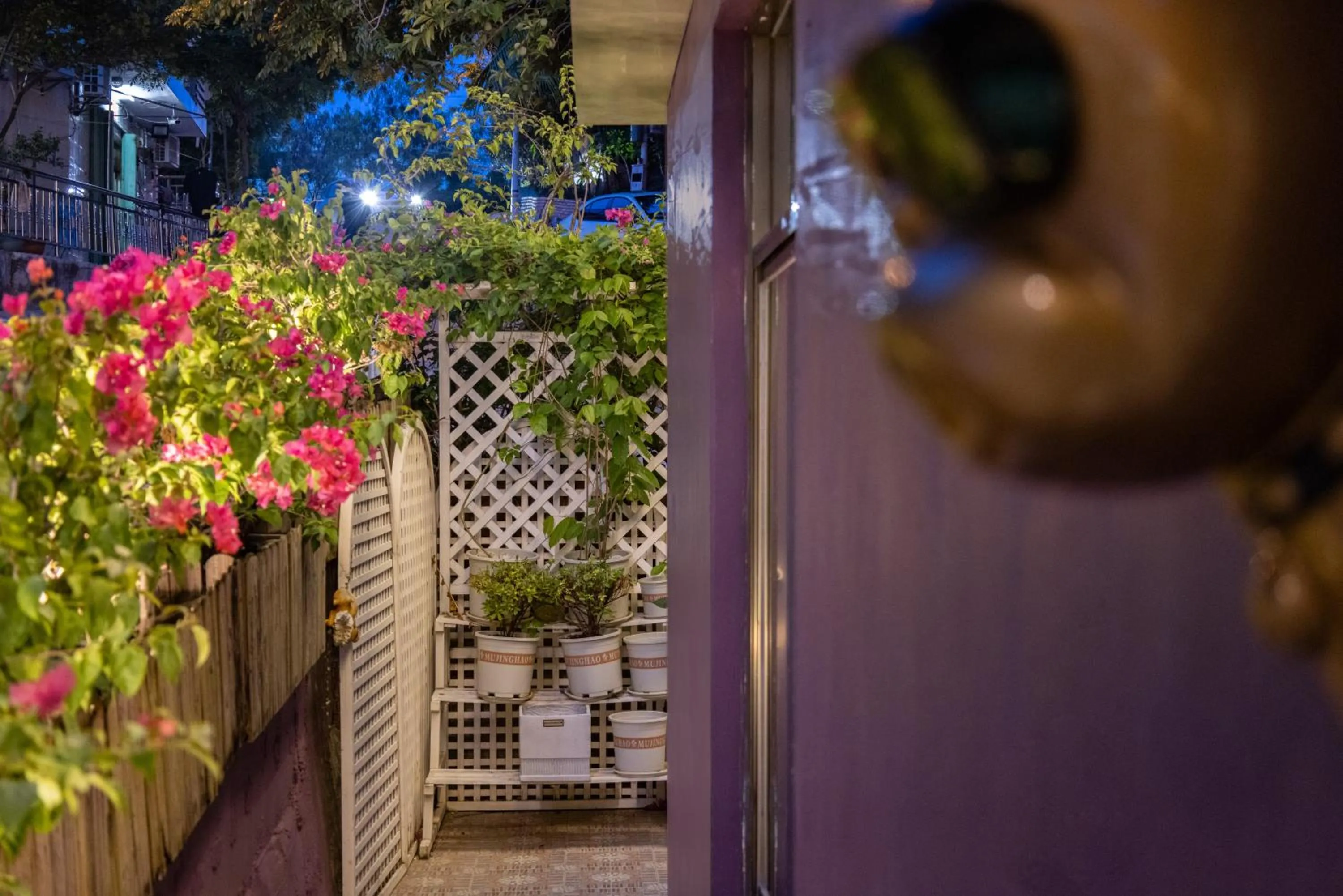 Garden in Summer Tree Inn