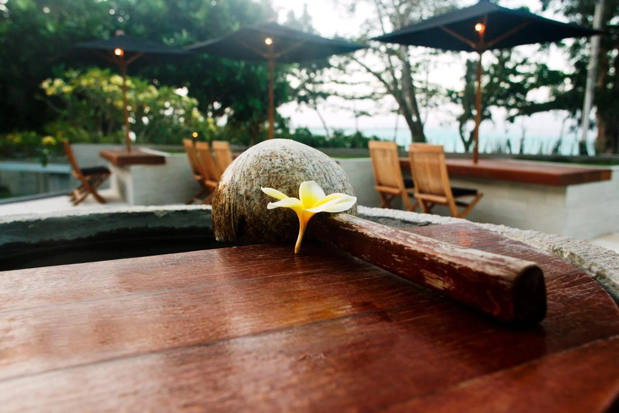 Swimming pool in JavaCove Beach Hotel