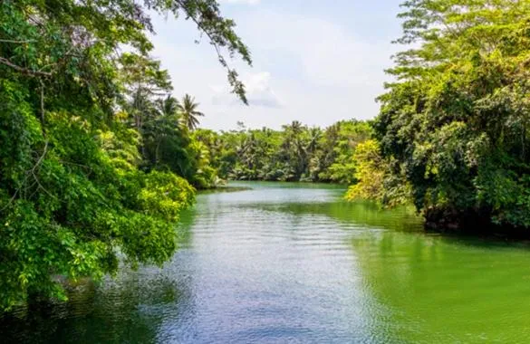Activities in JavaCove Beach Hotel