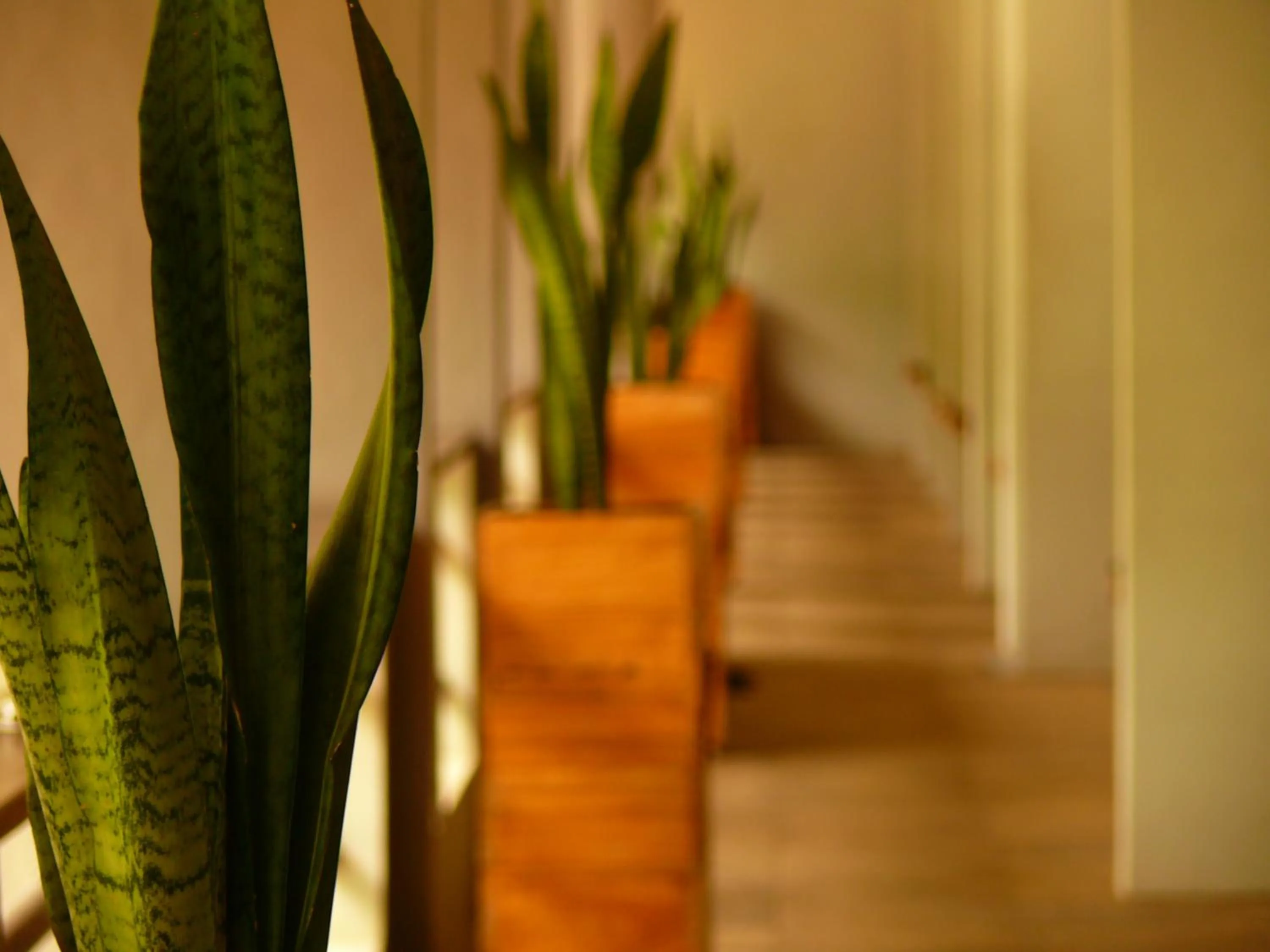 Property building in JavaCove Beach Hotel