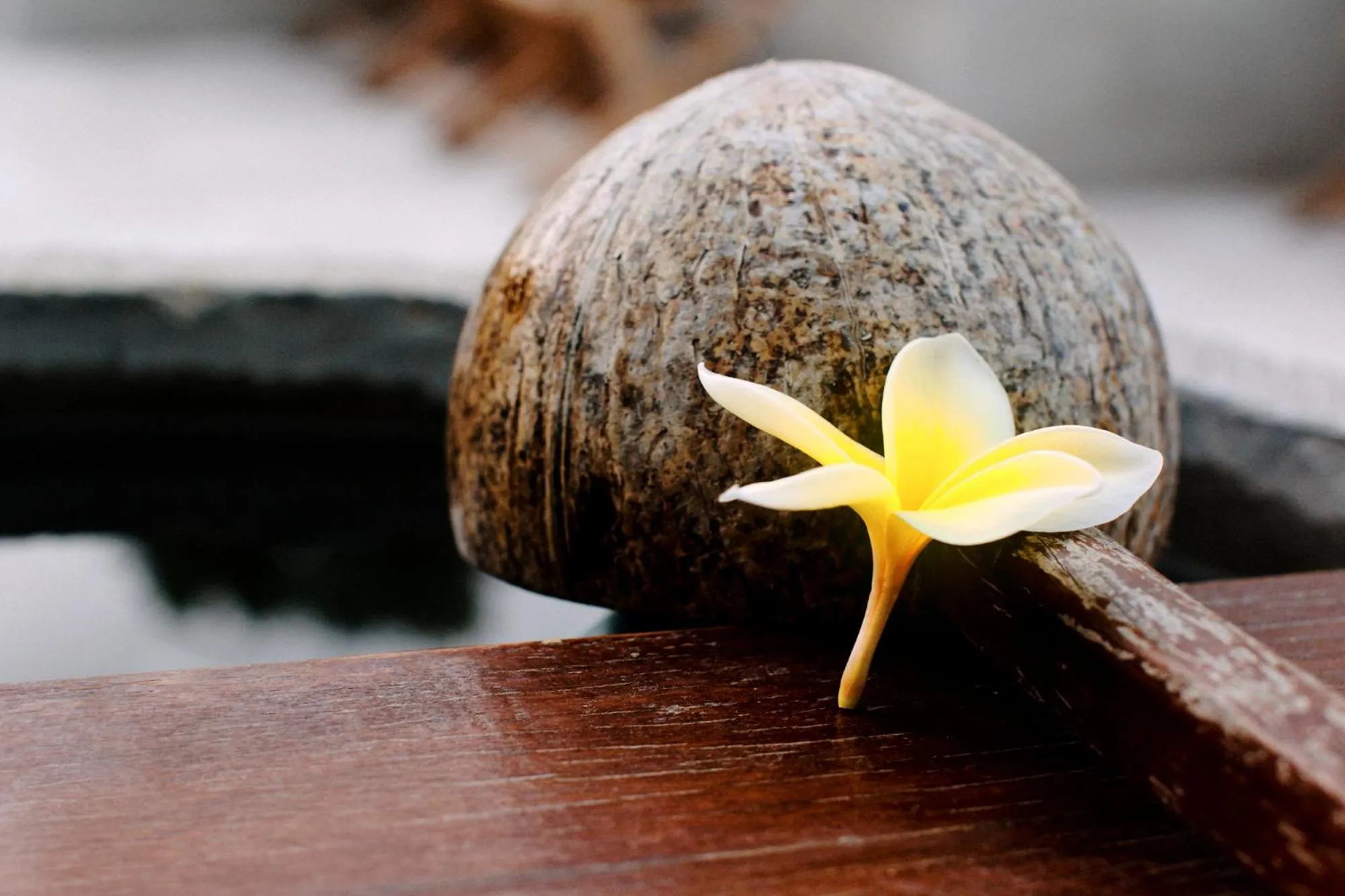 Decorative detail in JavaCove Beach Hotel