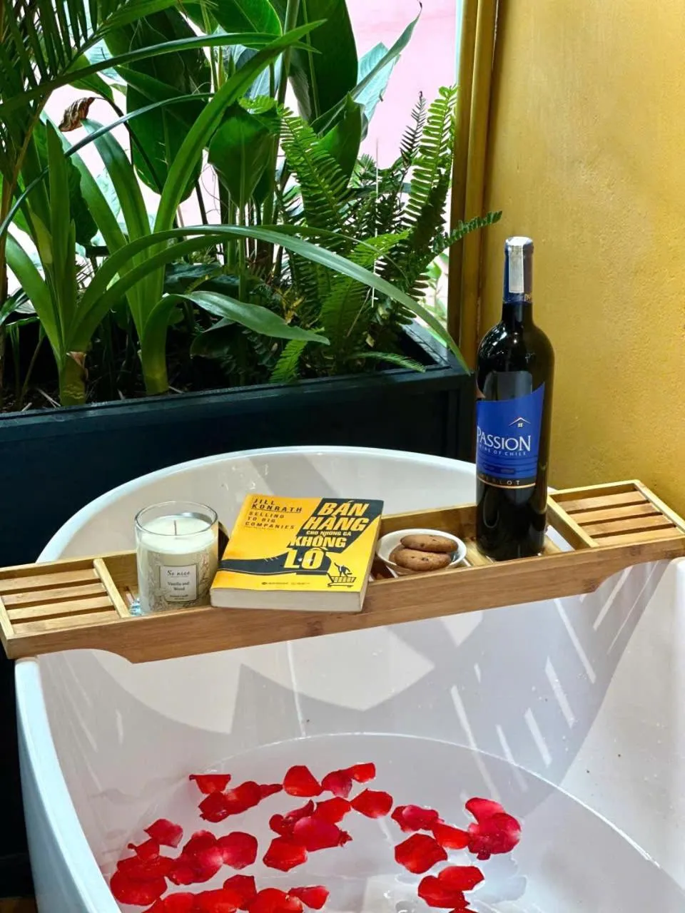 Natural landscape in Joi Boutique Bãi Trước