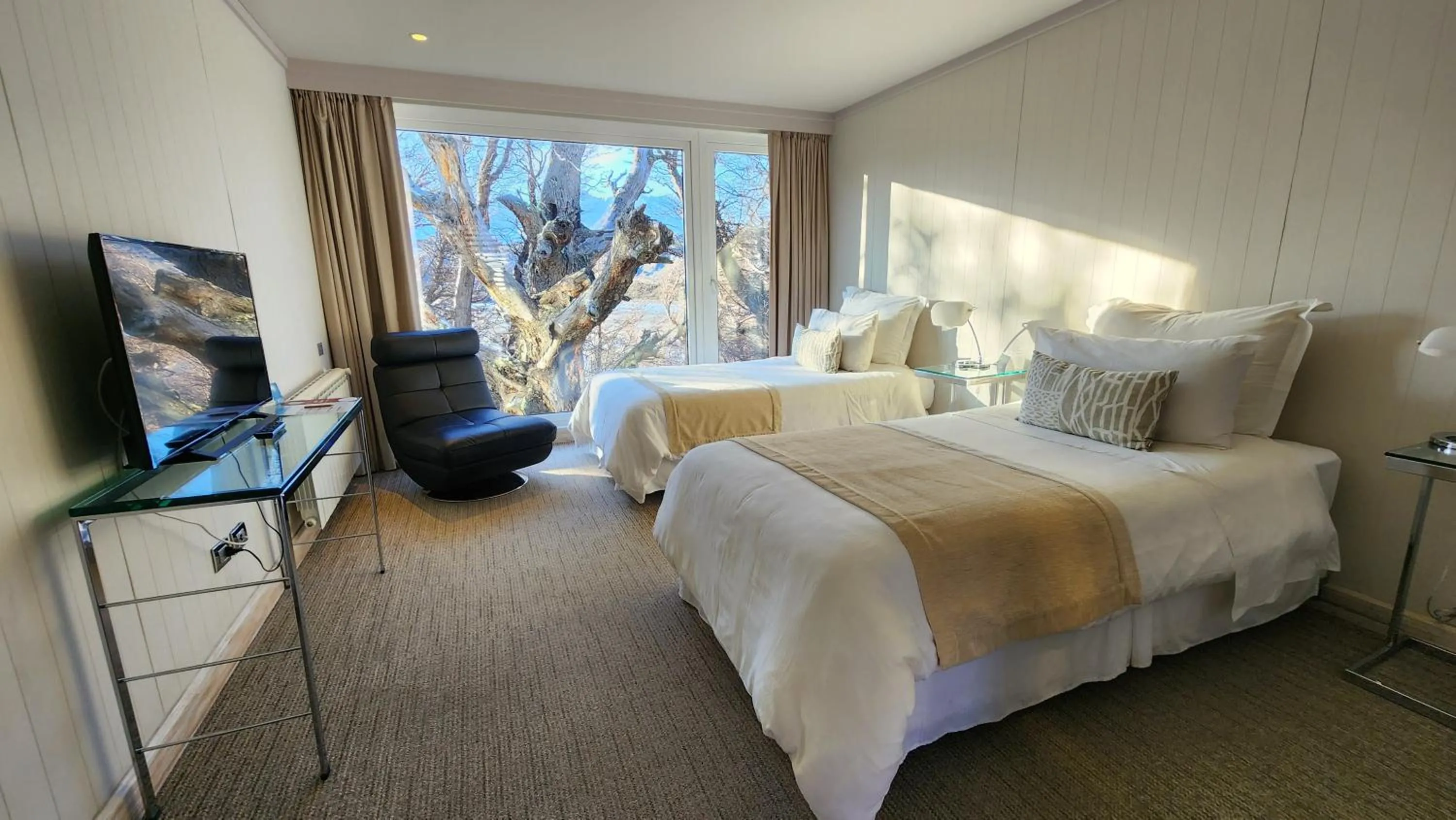 Hotel Lago Grey