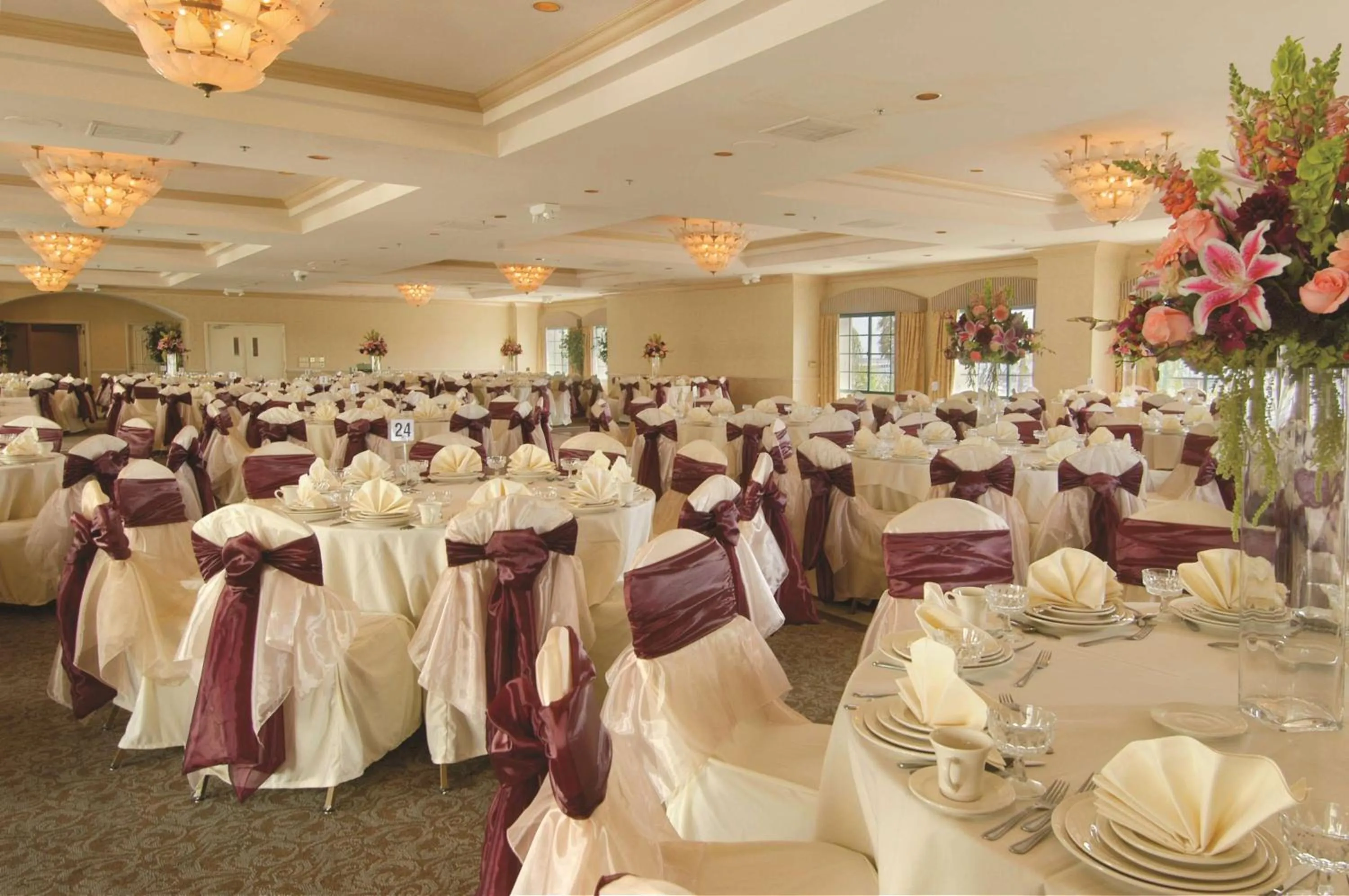 Meeting/conference room in DoubleTree by Hilton San Pedro