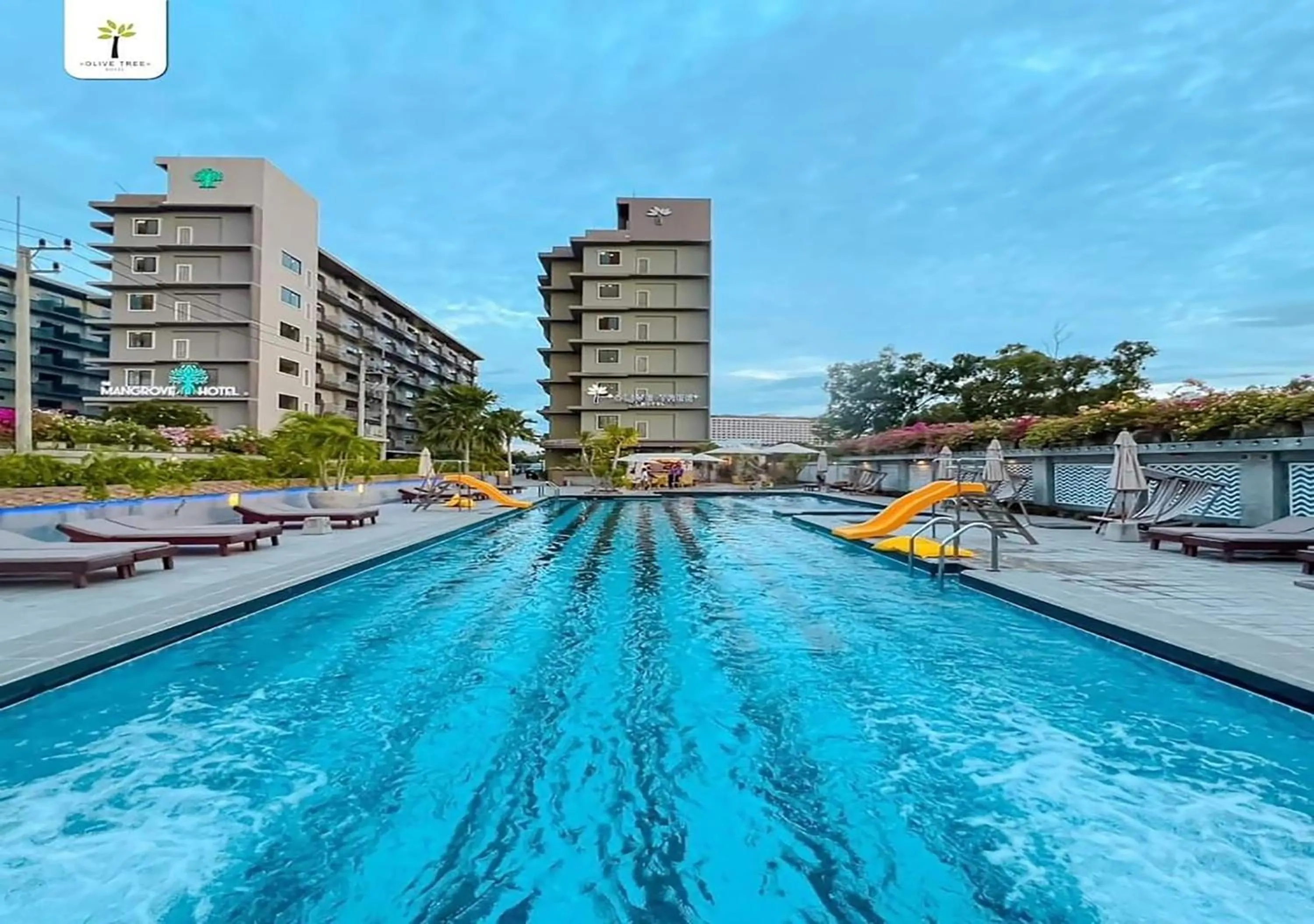 Property building in Olive Tree Hotel Pattaya