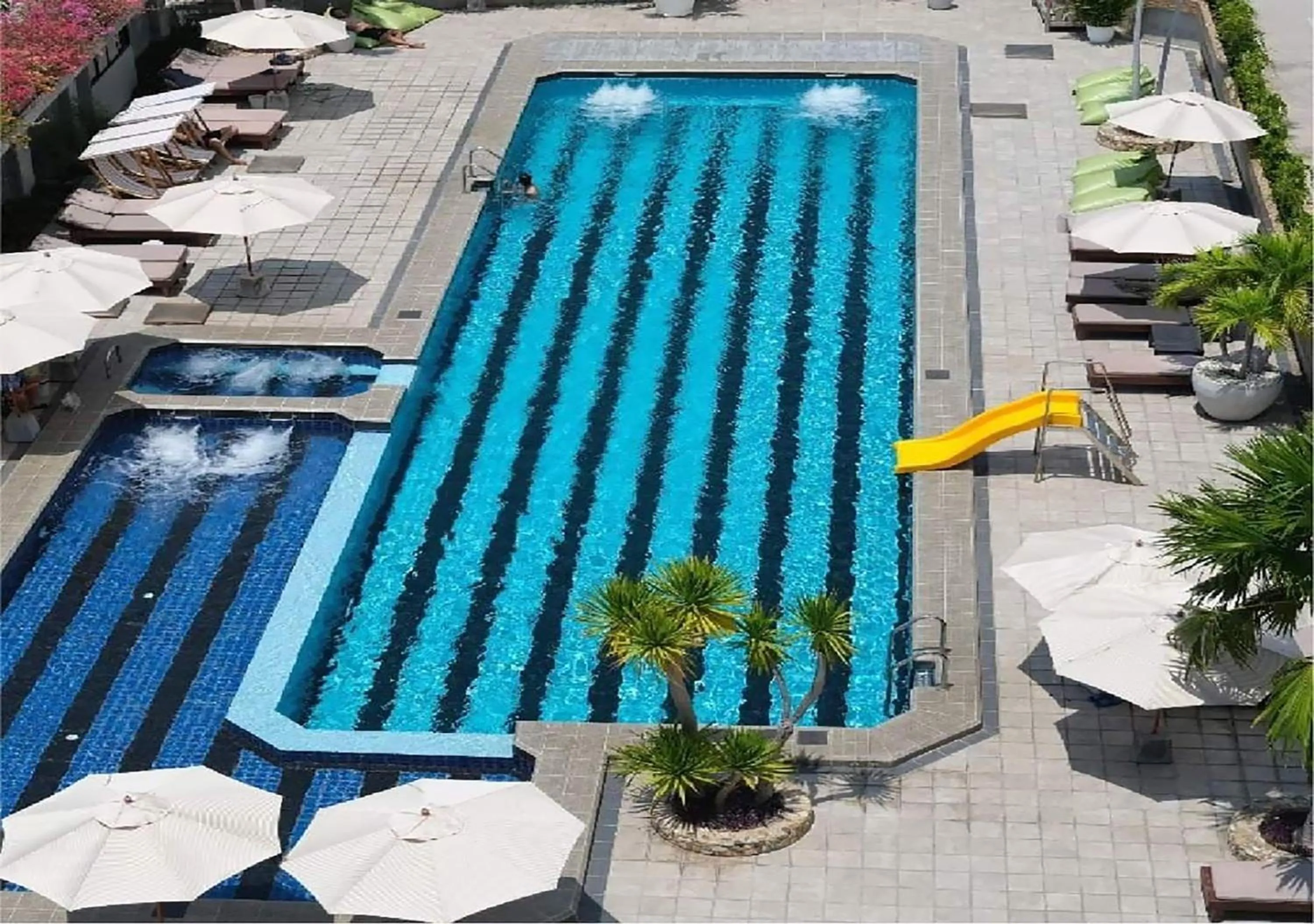 Swimming pool in Olive Tree Hotel Pattaya