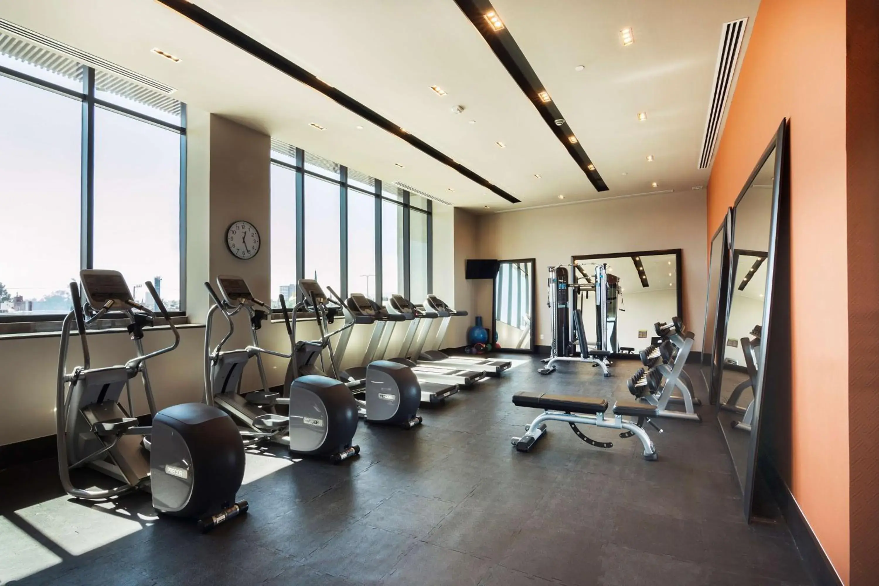 Fitness centre/facilities in Hilton Garden Inn Aguascalientes Fitness centre/facilities in Hilton Garden Inn Aguascalientes