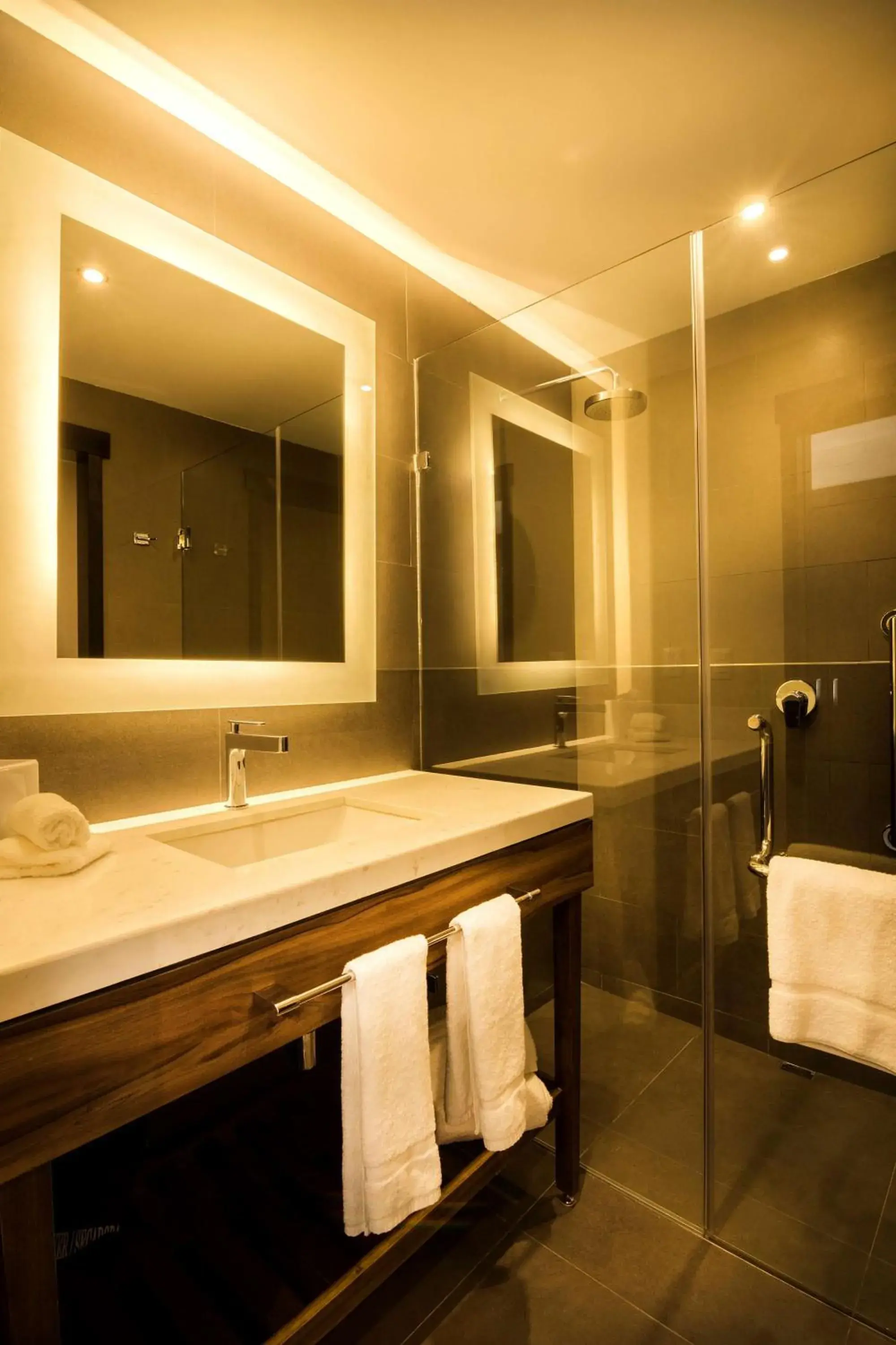 Bathroom in Hilton Garden Inn Aguascalientes Bathroom in Hilton Garden Inn Aguascalientes