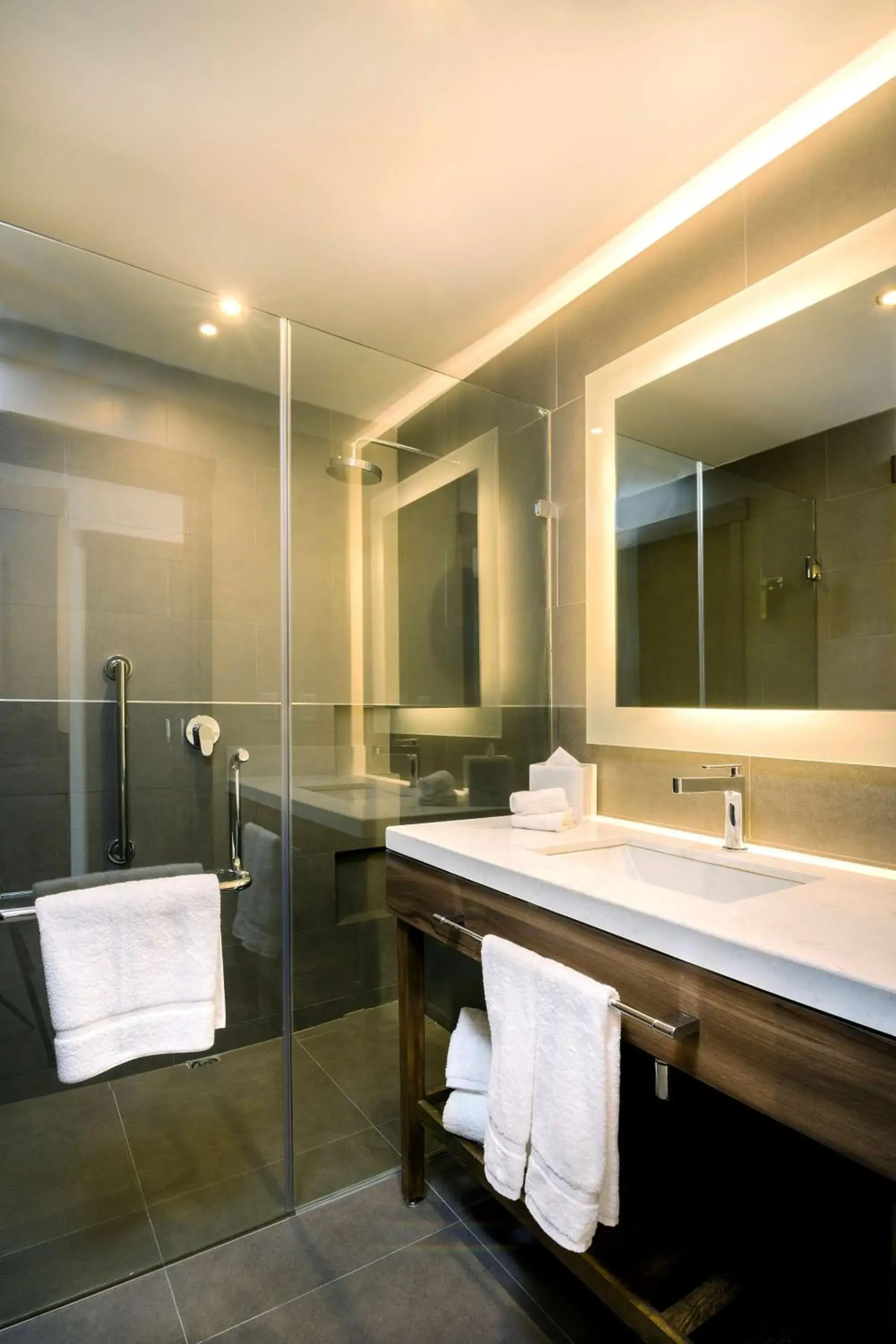 Bathroom in Hilton Garden Inn Aguascalientes Bathroom in Hilton Garden Inn Aguascalientes