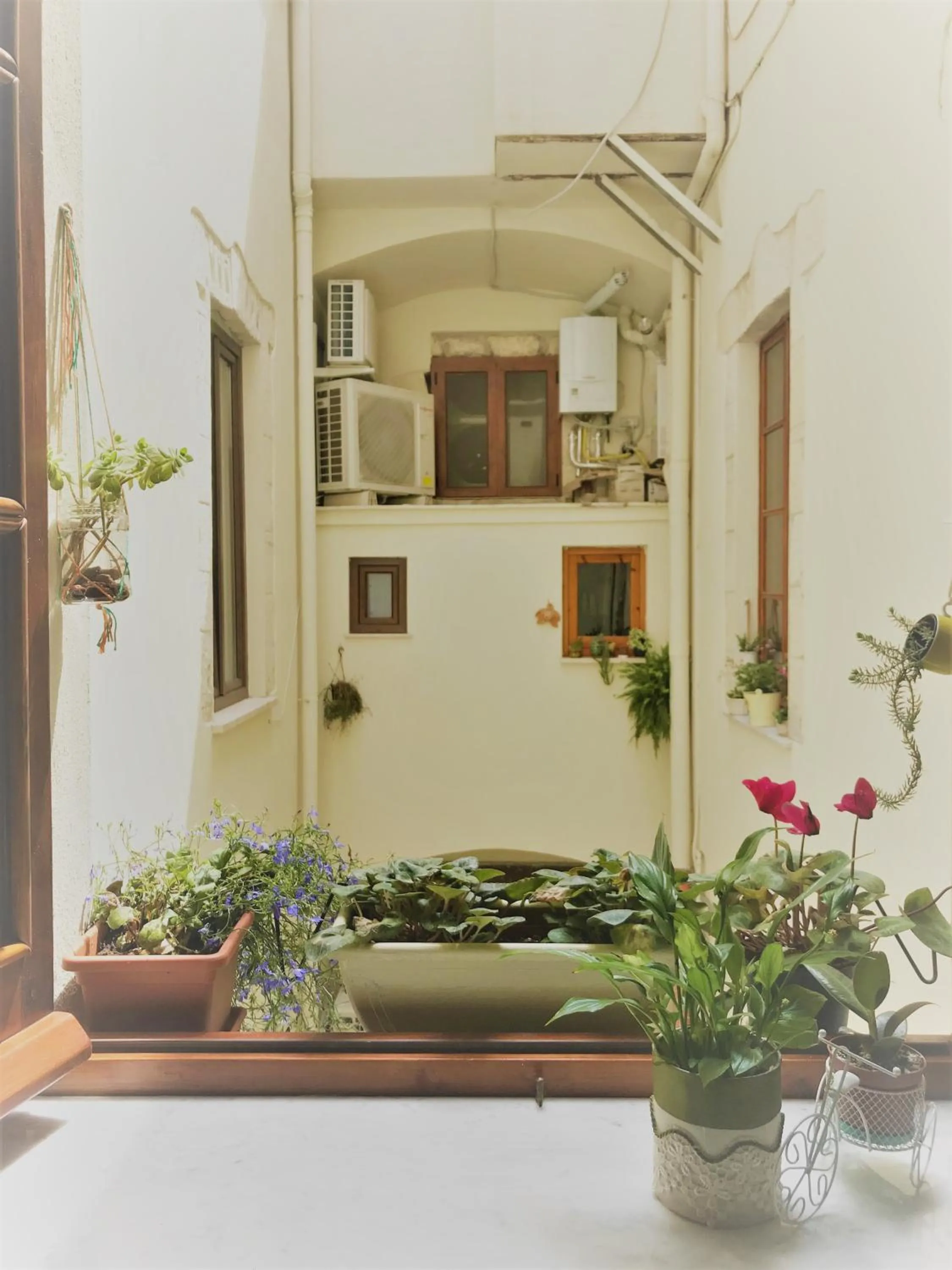 Property building in Jacaranda