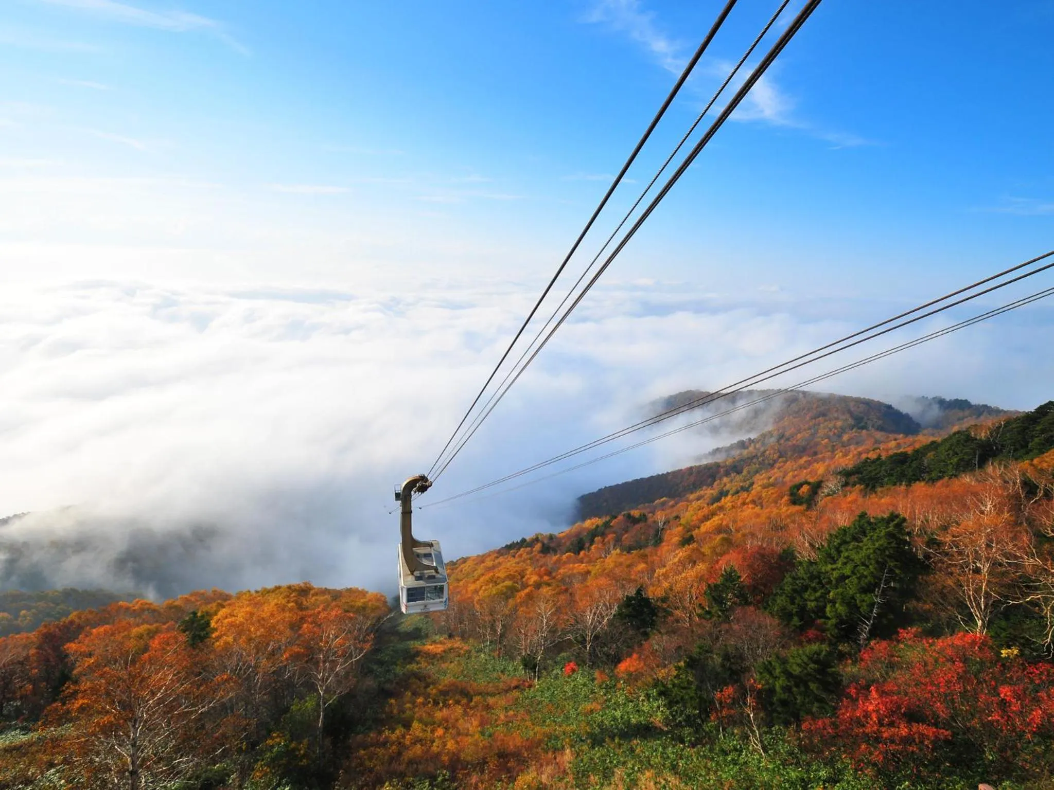 Nearby landmark in Hotel Tsubakino