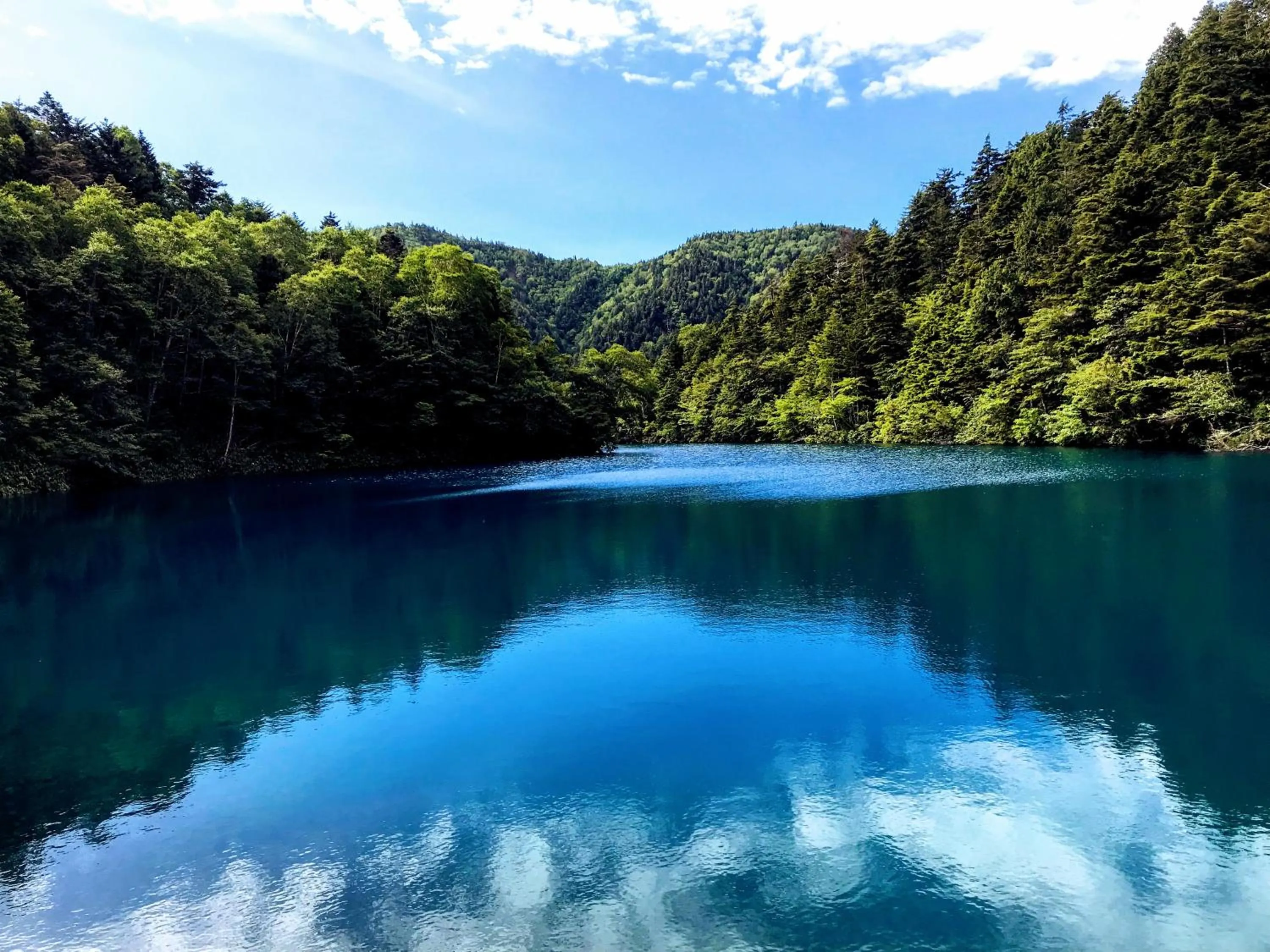 Nearby landmark in Hotel Tsubakino