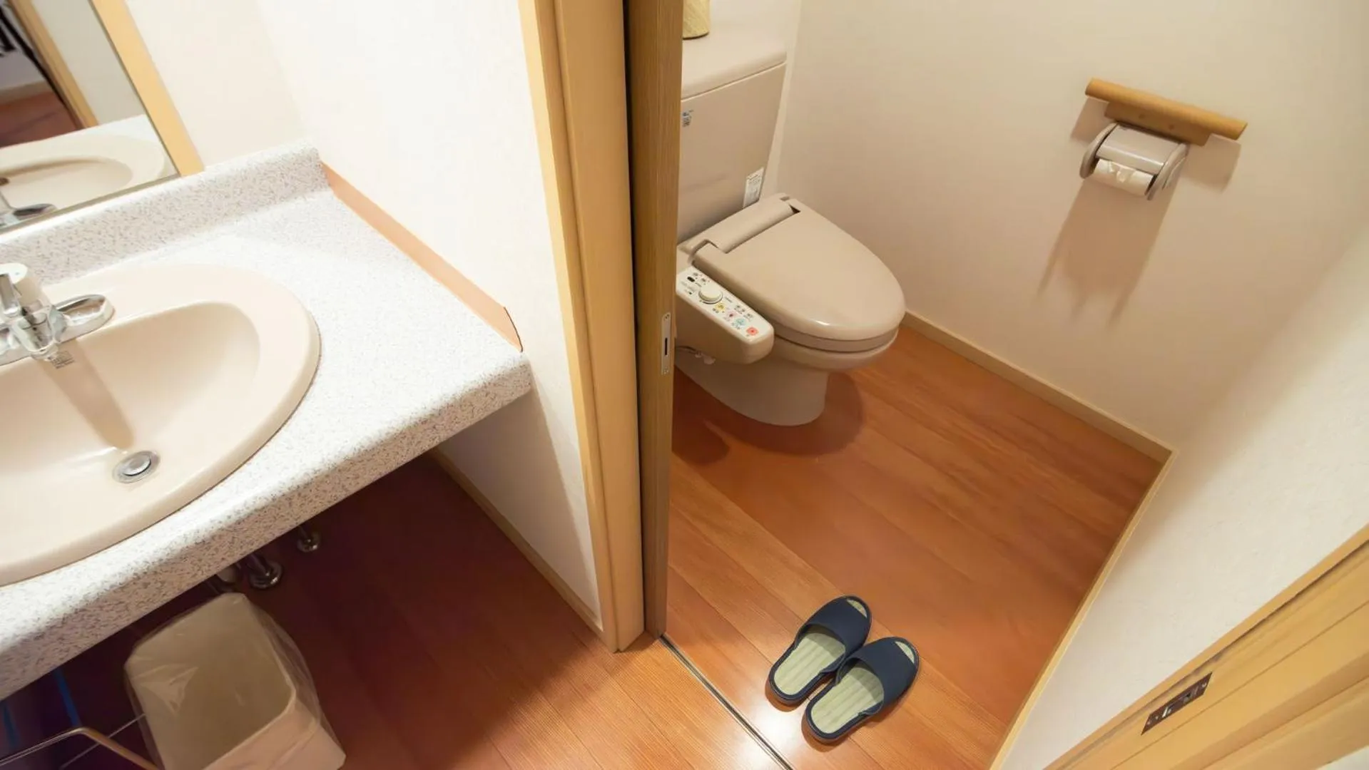 Photo of the whole room in Hotel Tsubakino