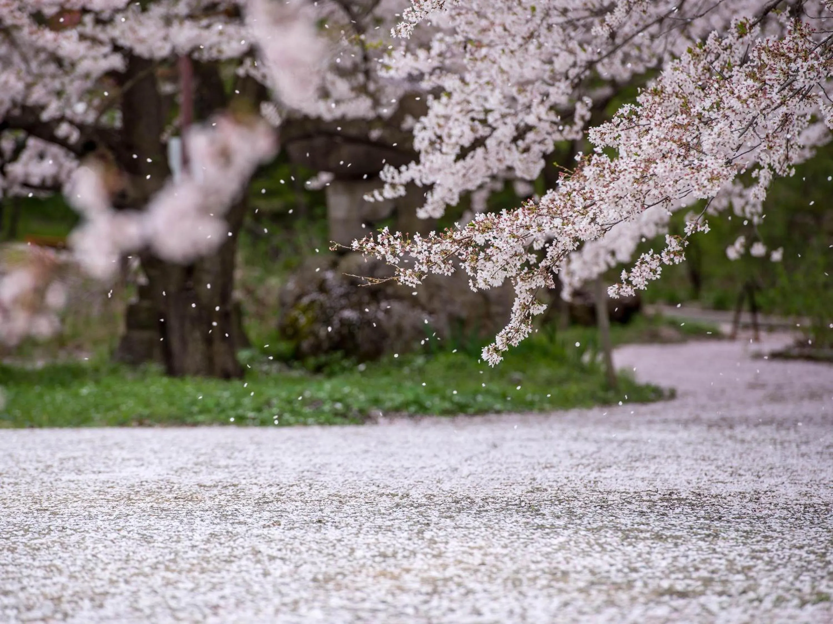 Nearby landmark in Hotel Tsubakino