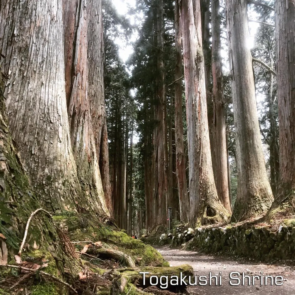 Nearby landmark in Hotel Tsubakino