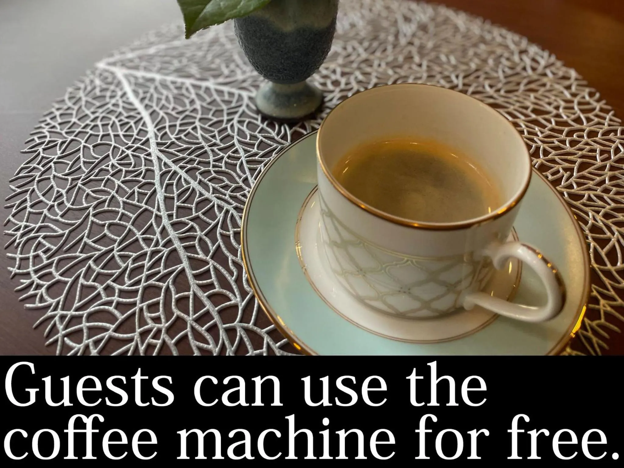 Coffee/tea facilities in Hotel Tsubakino