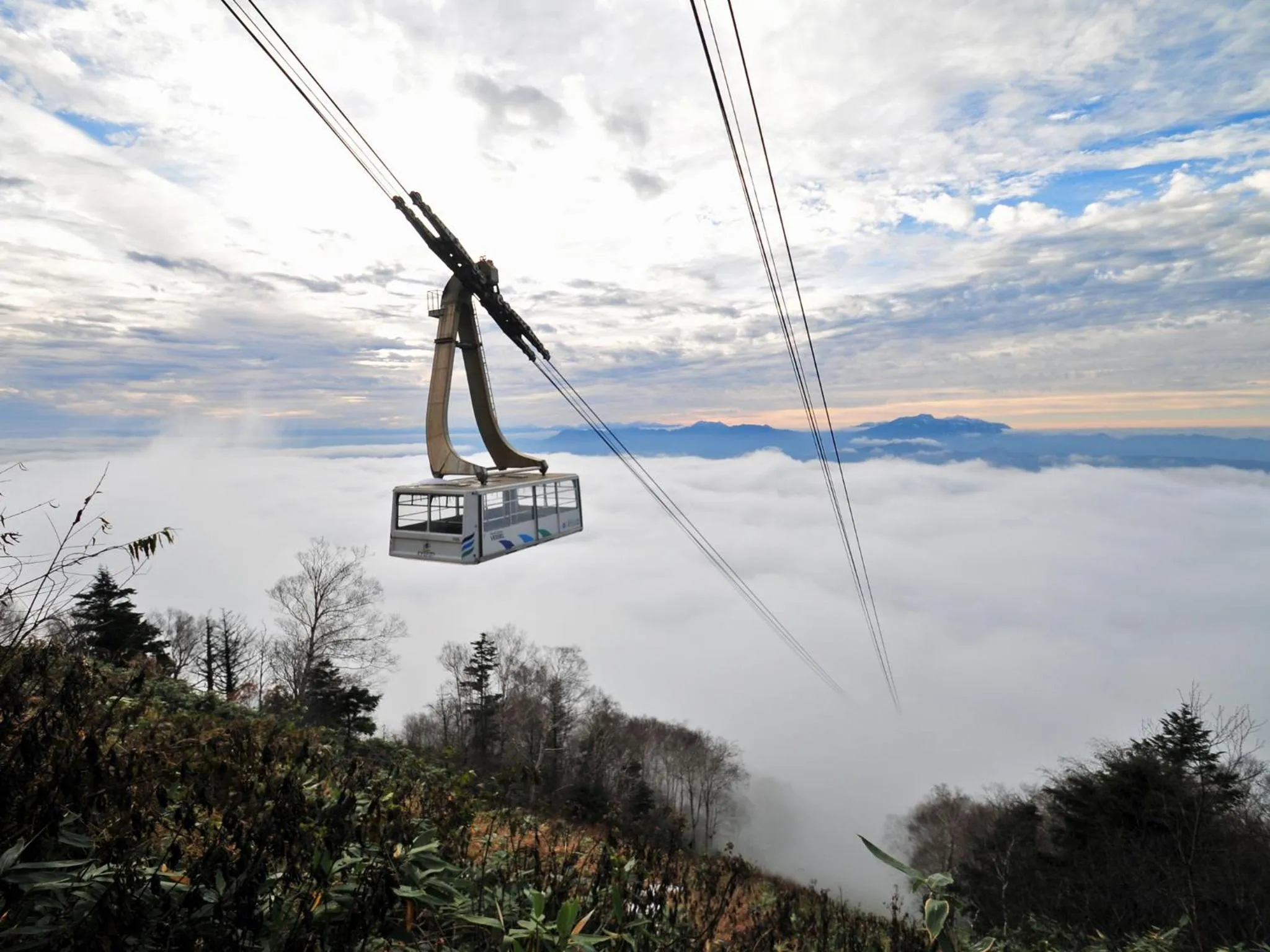Nearby landmark in Hotel Tsubakino