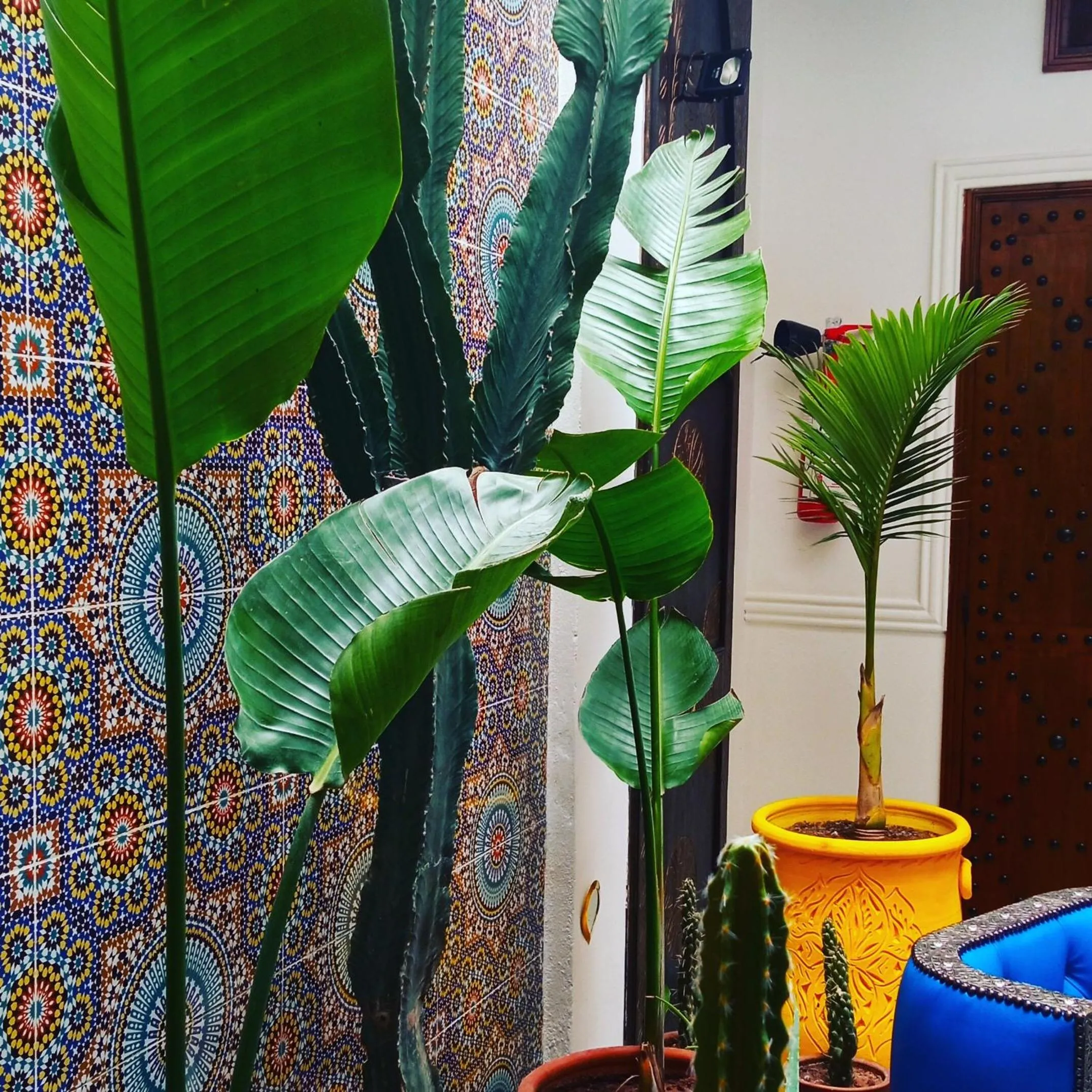 Other in Riad Heklek