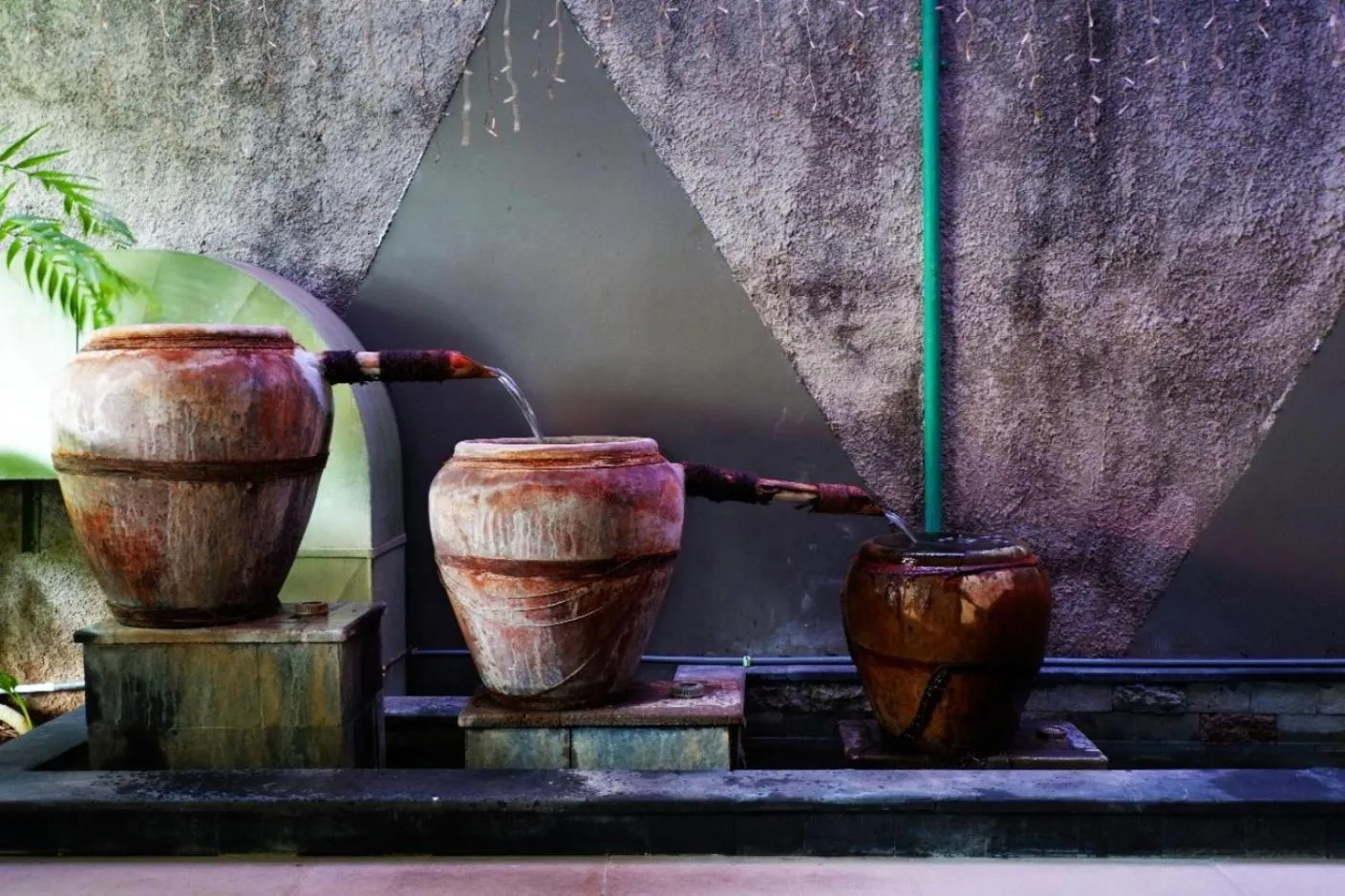 Area and facilities in The Vasini Hotel