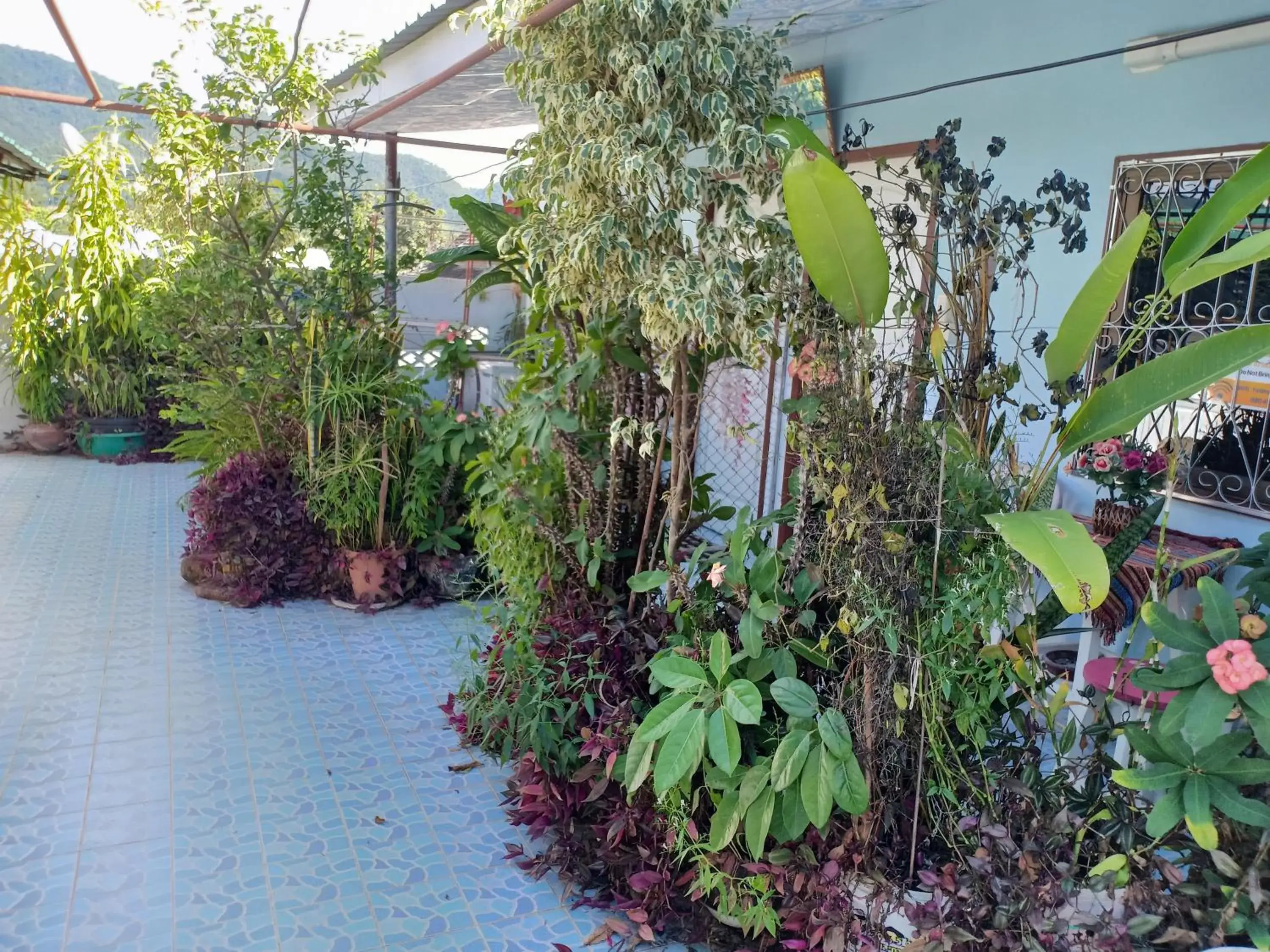 Classic Triple Room with Private Bathroom in Sabaydee House at Pai Classic Triple Room with Private Bathroom in Sabaydee House at Pai