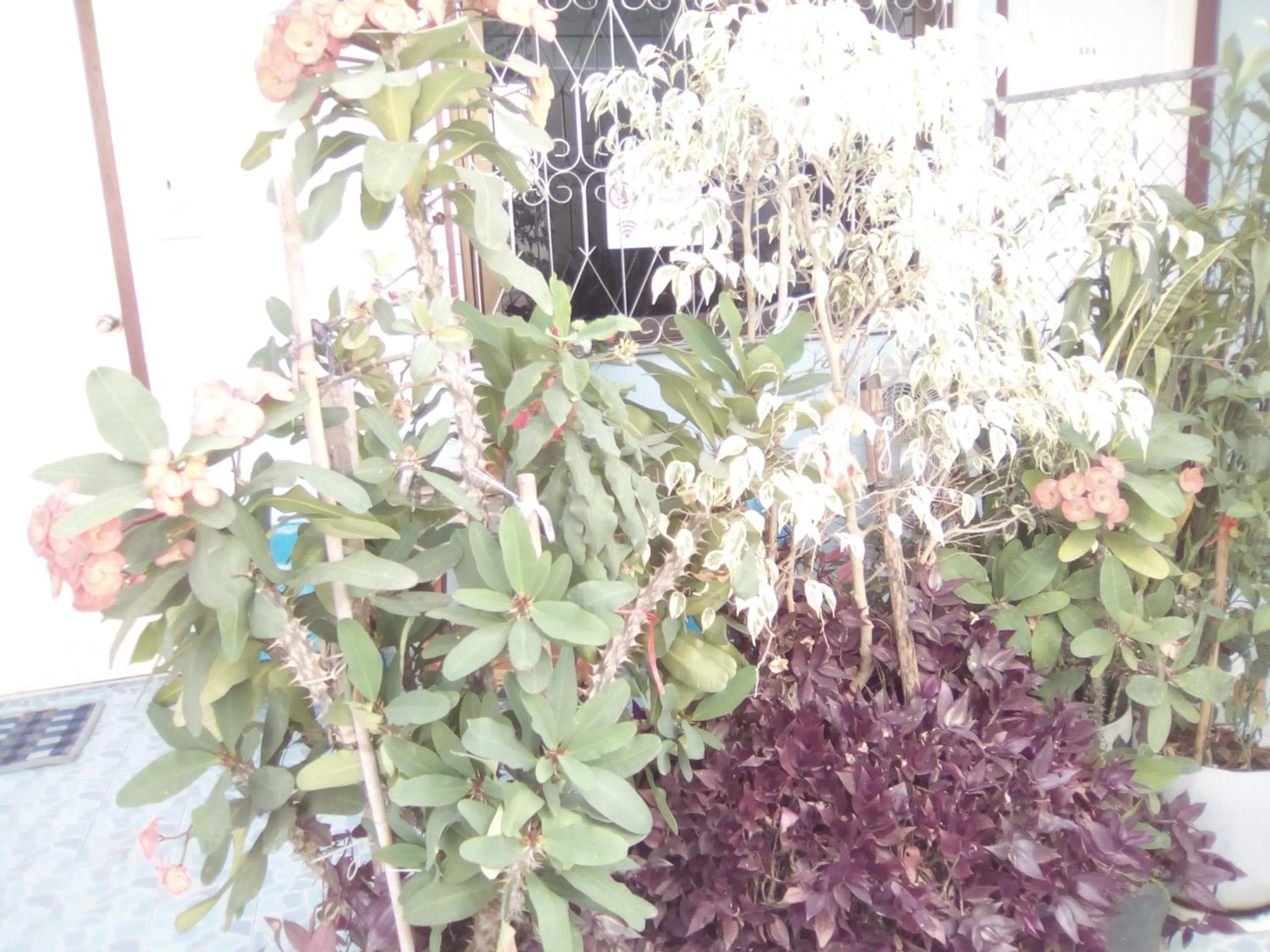 Sabaydee House at Pai