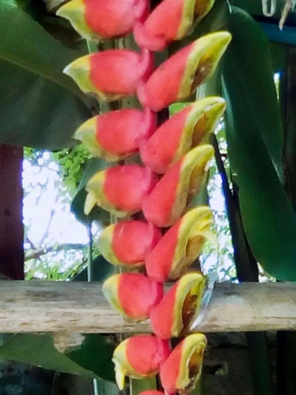 Sabaydee House at Pai