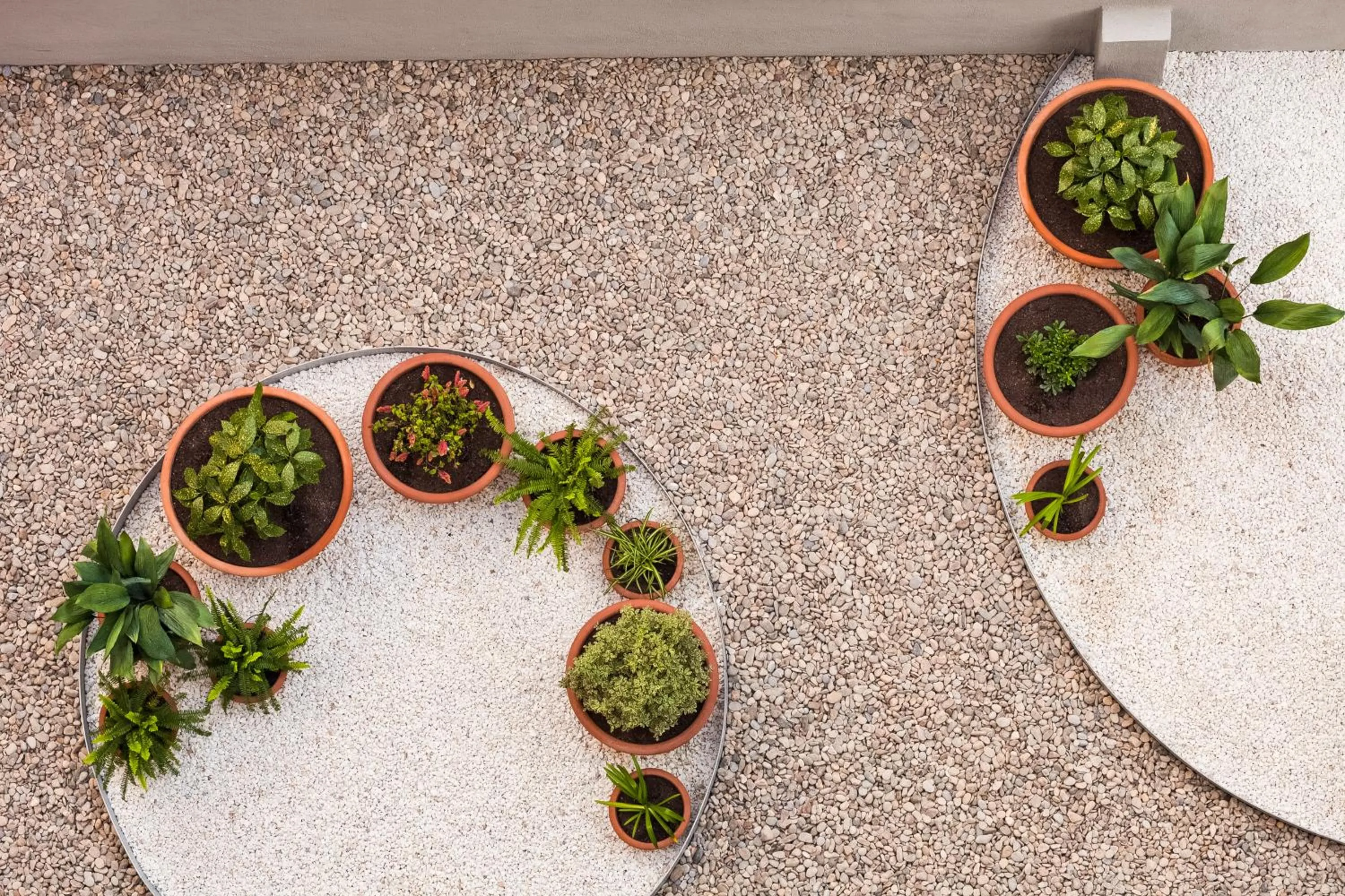 Garden in Ibis Barcelona Centro (Sagrada Familia)