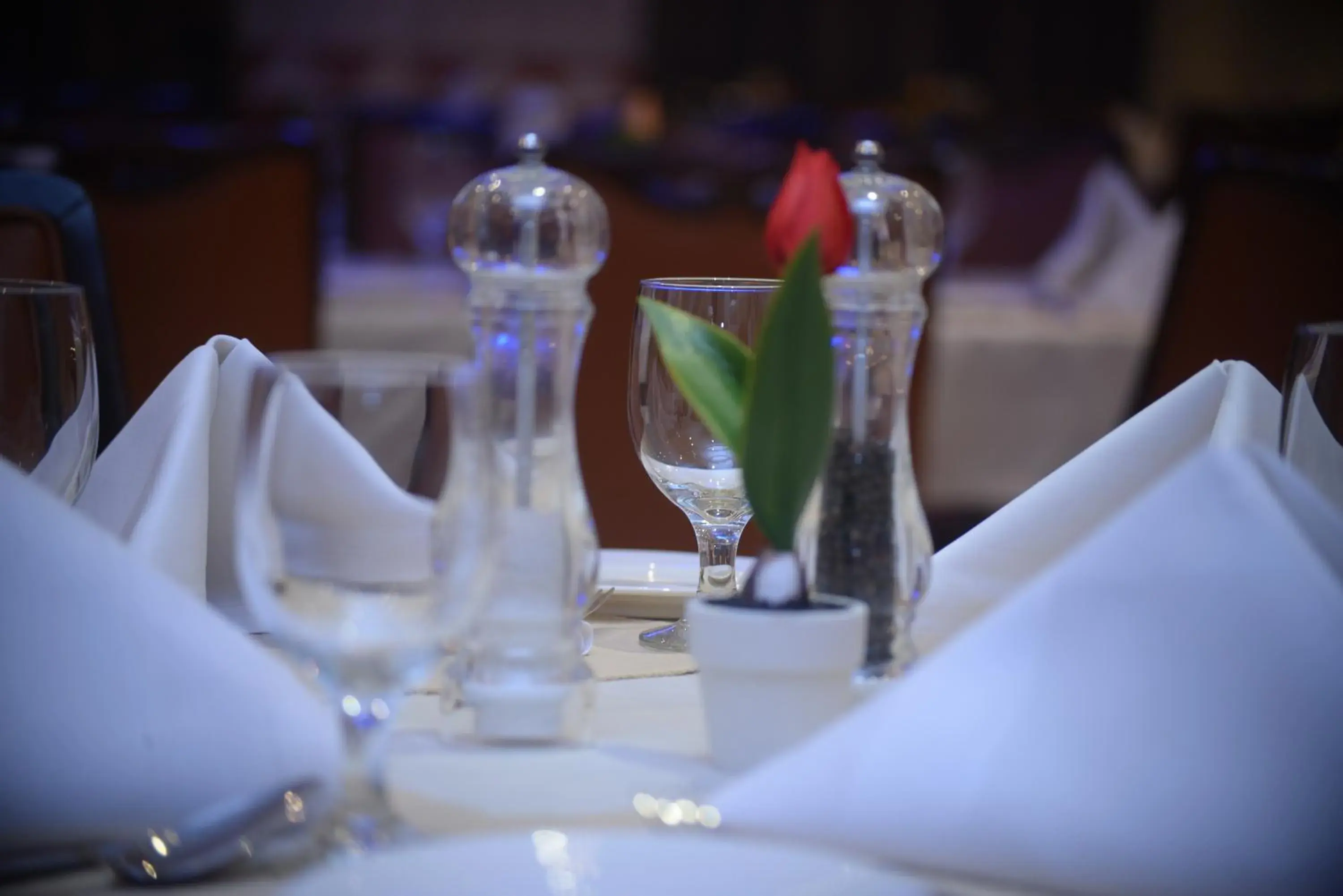 Restaurant/places to eat in Al Madina Suites Doha Restaurant/places to eat in Al Madina Suites Doha