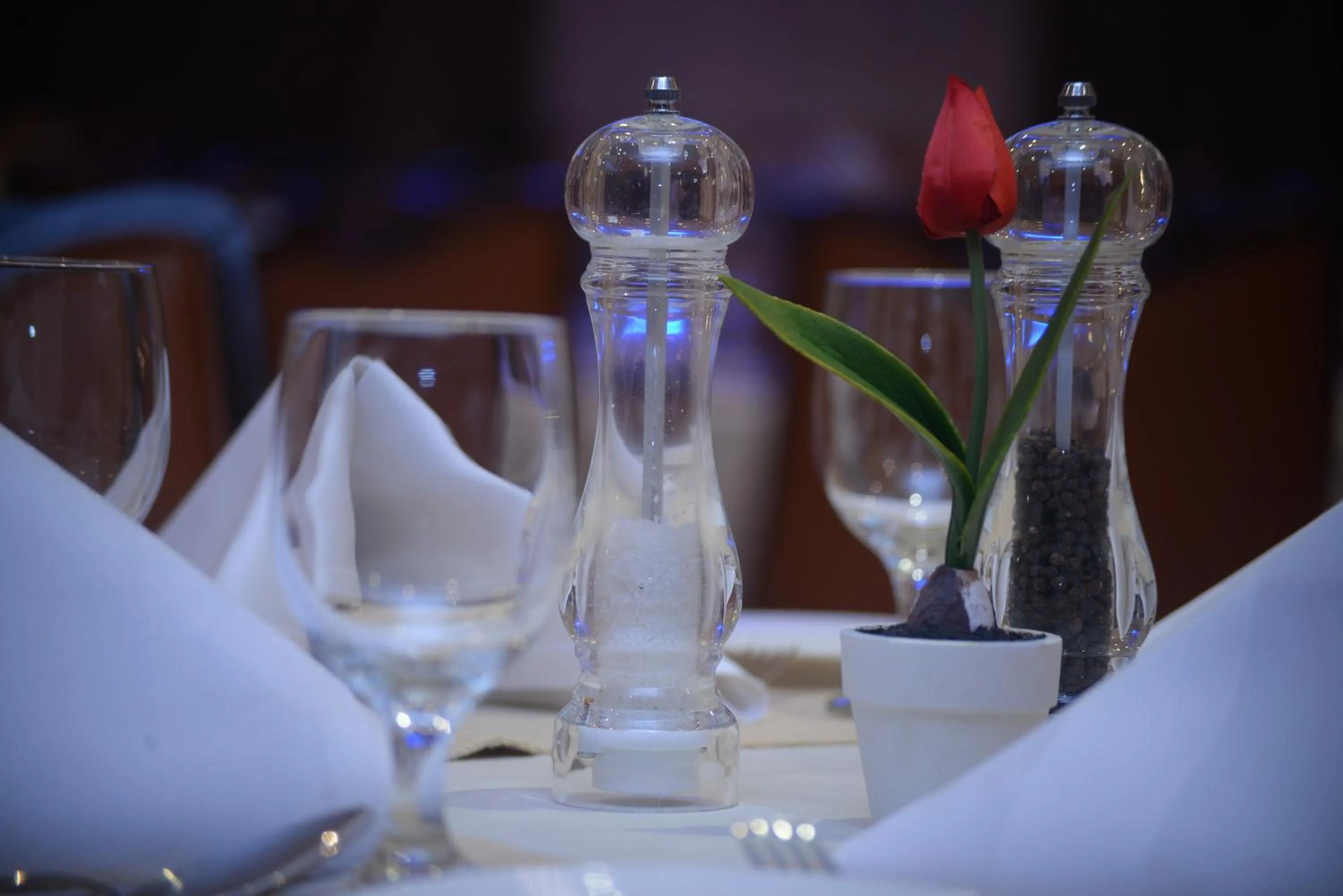 Restaurant/places to eat in Al Madina Suites Doha