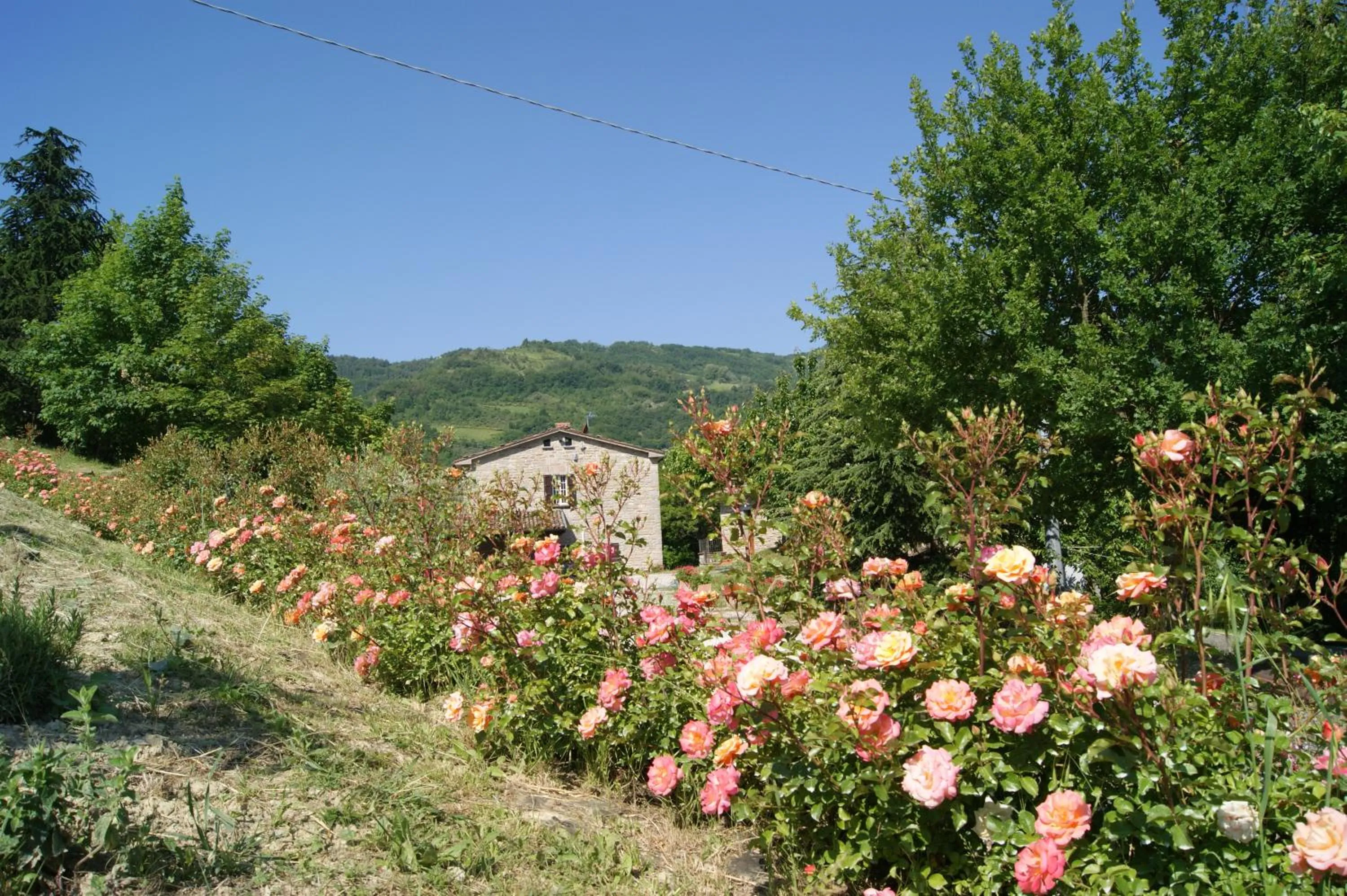 Garden in Agriturismo Corte Dei Mori