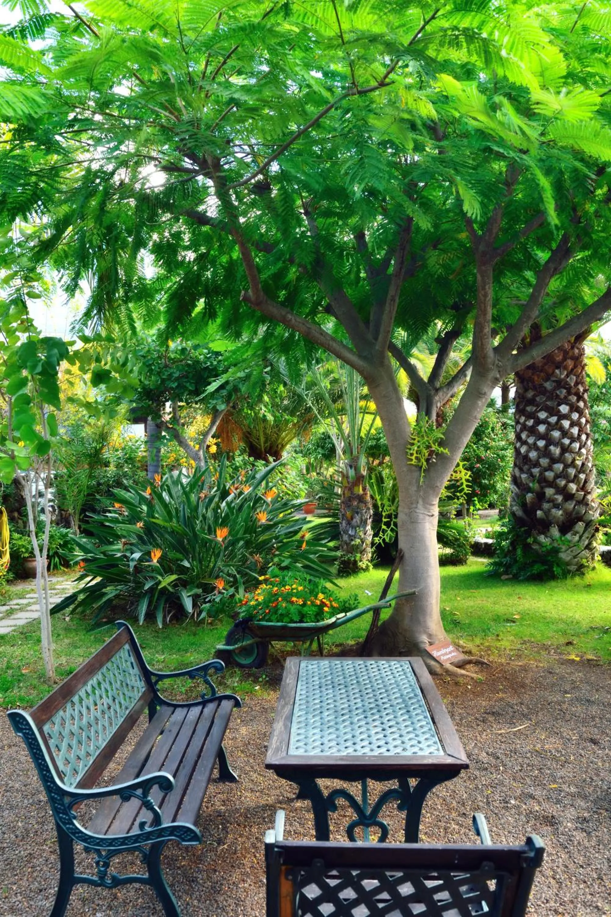 Garden in Apartamentos Adjovimar