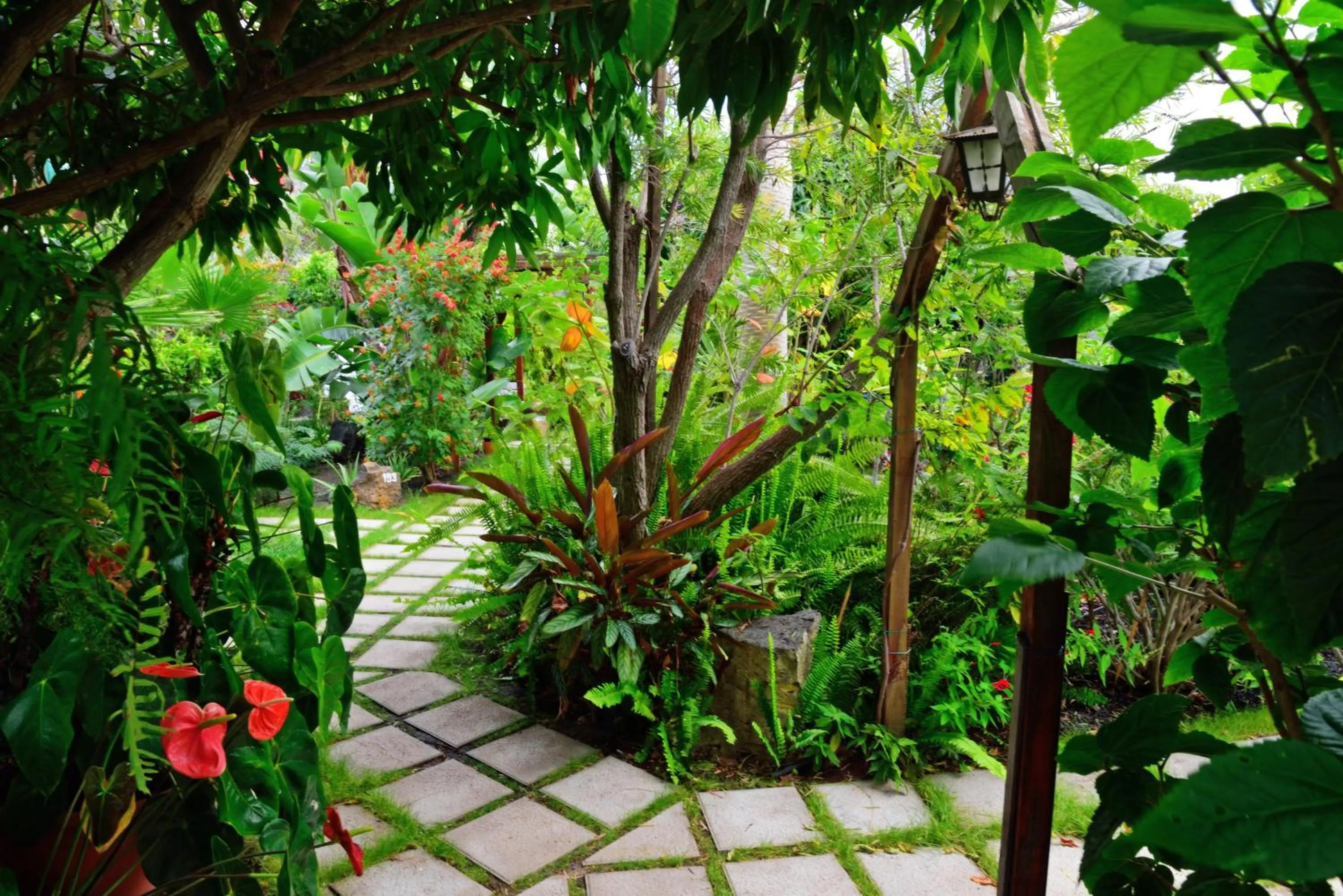 Garden in Apartamentos Adjovimar