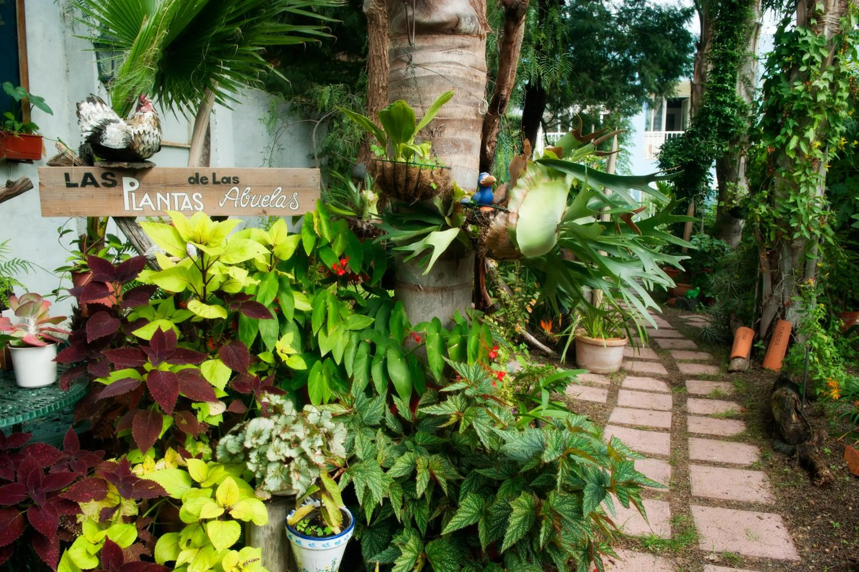 Garden in Apartamentos Adjovimar