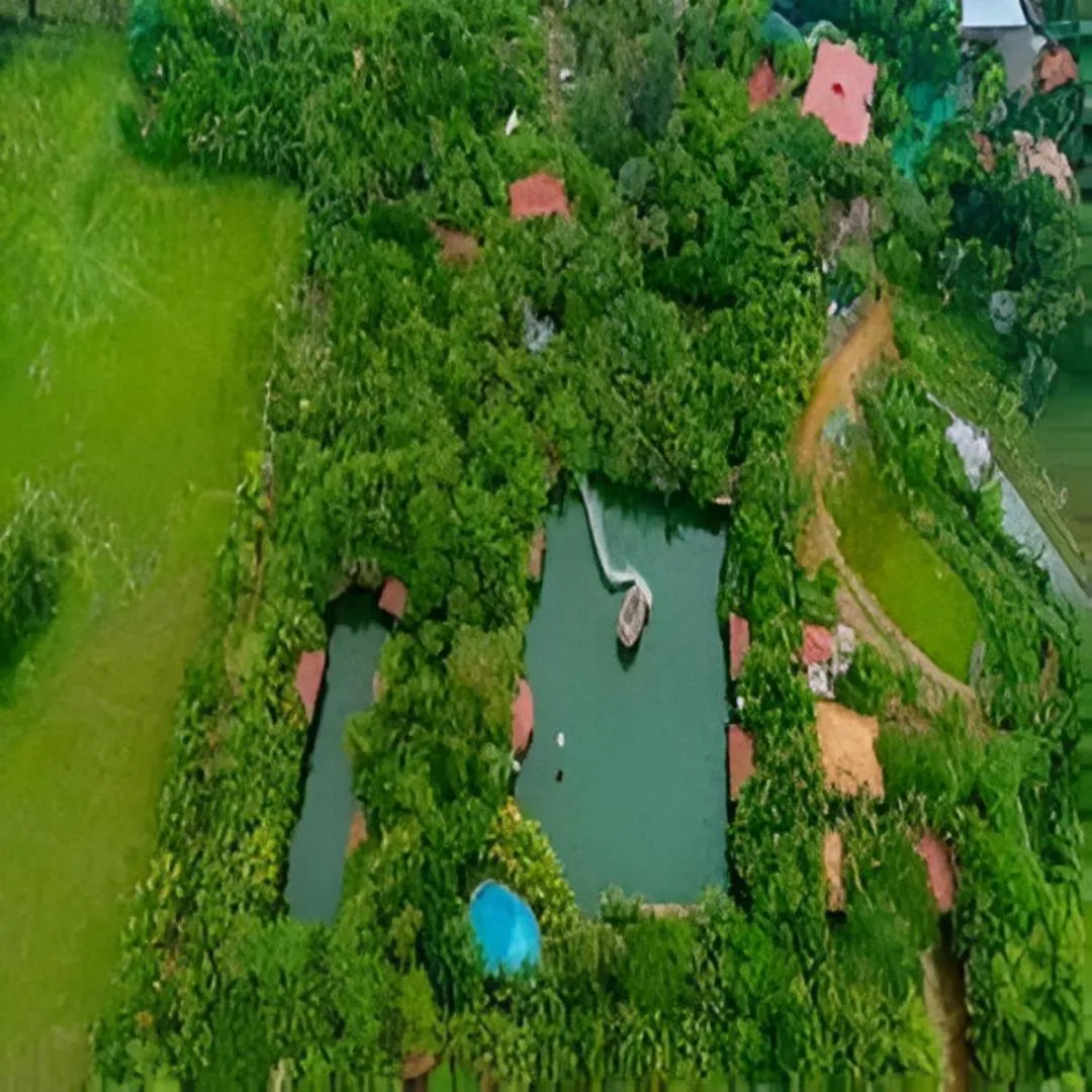 Mango Meadows
