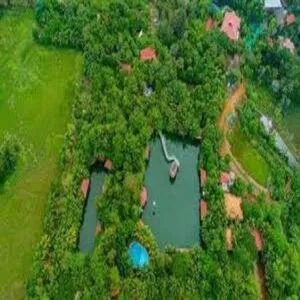 Mango Meadows
