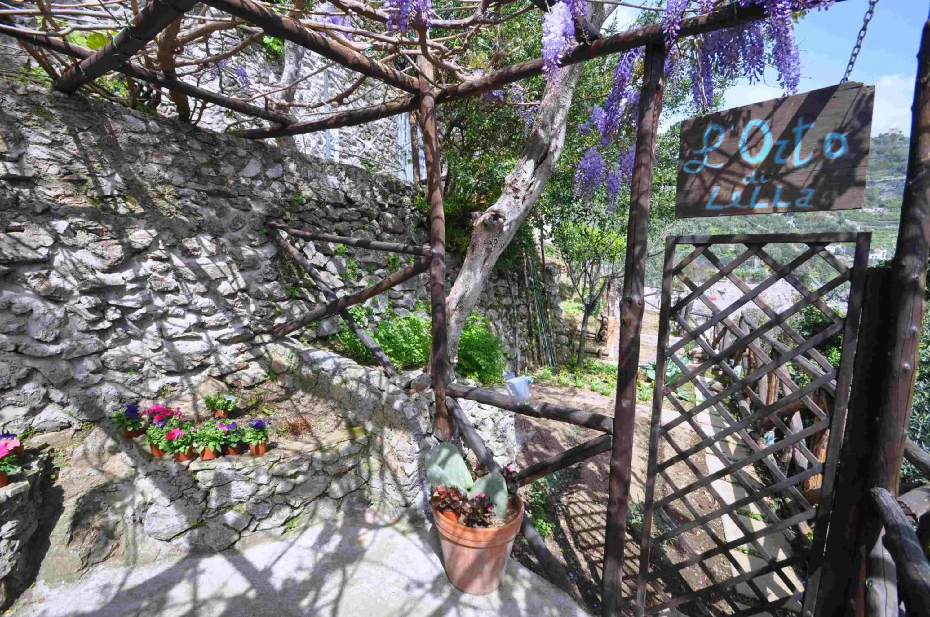 Garden in Star Fish House