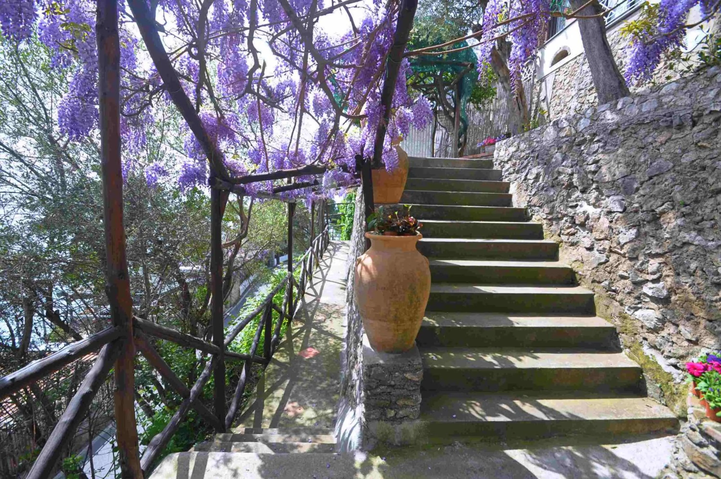 Garden in Star Fish House