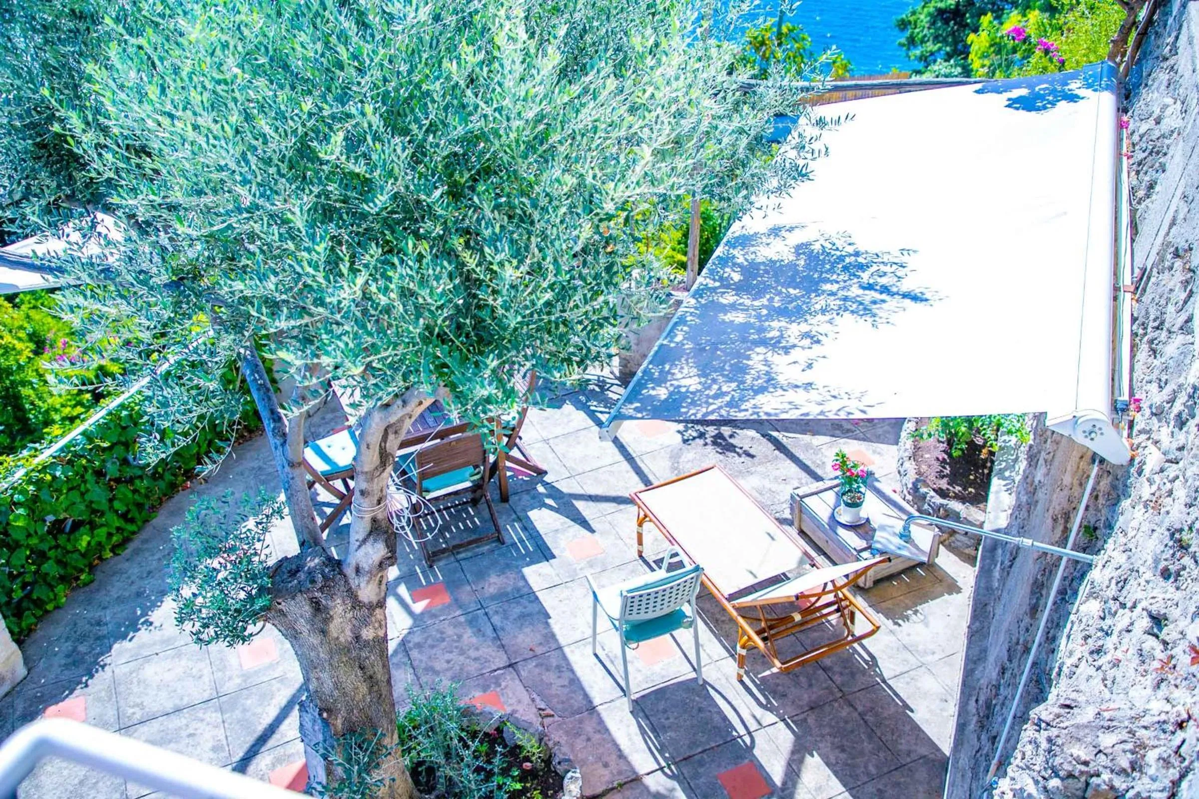 Garden view in Star Fish House